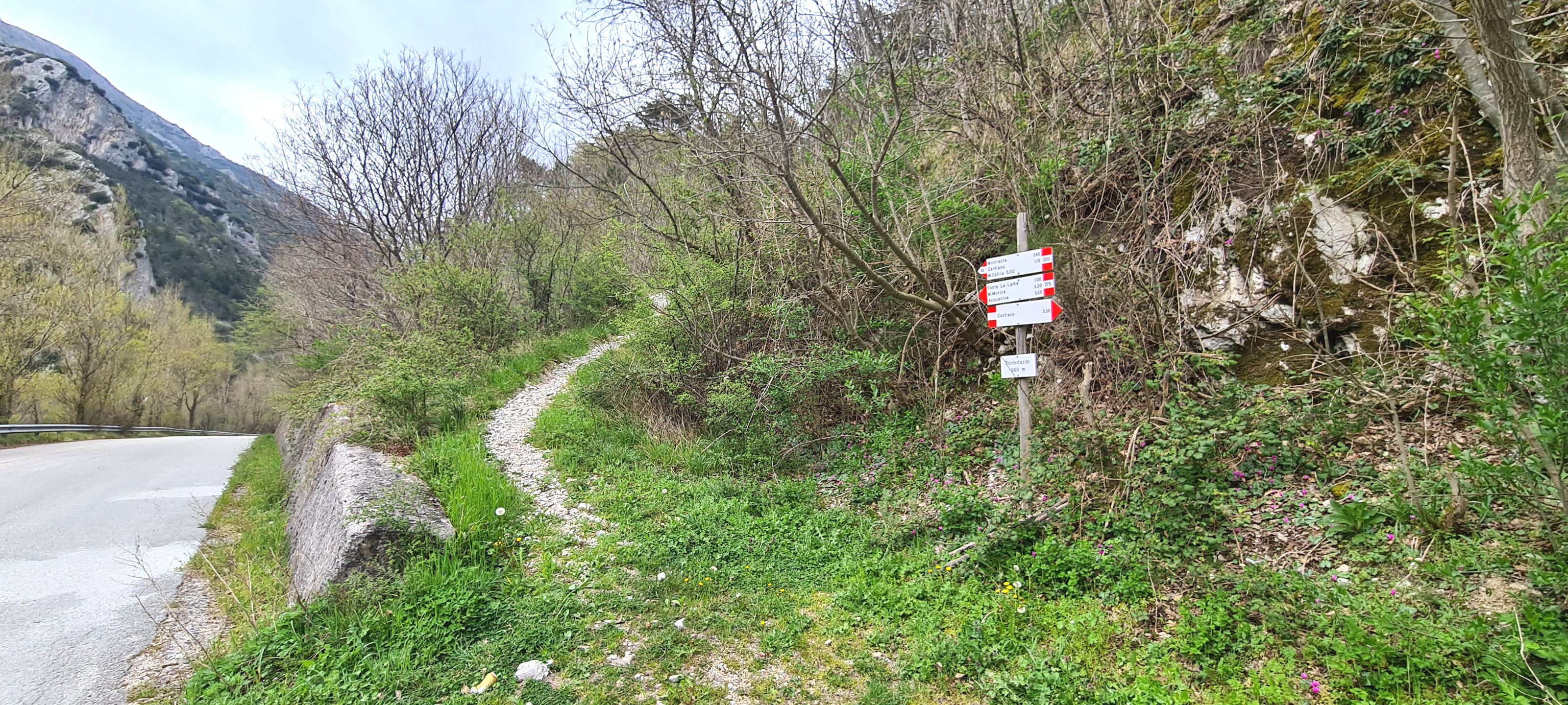 Monte Catria Sentiero 75 - immagine 1