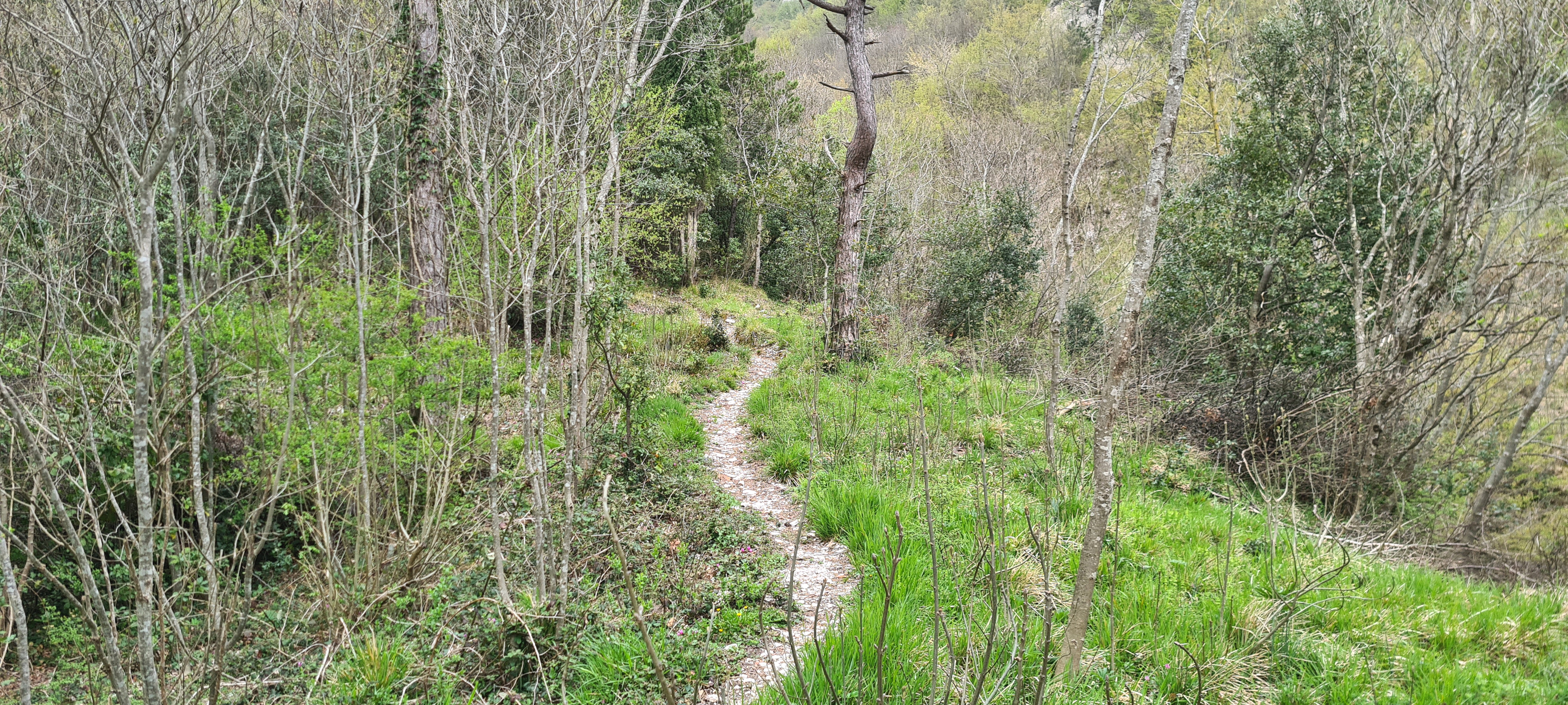 Monte Catria Sentiero 75 - immagine 2