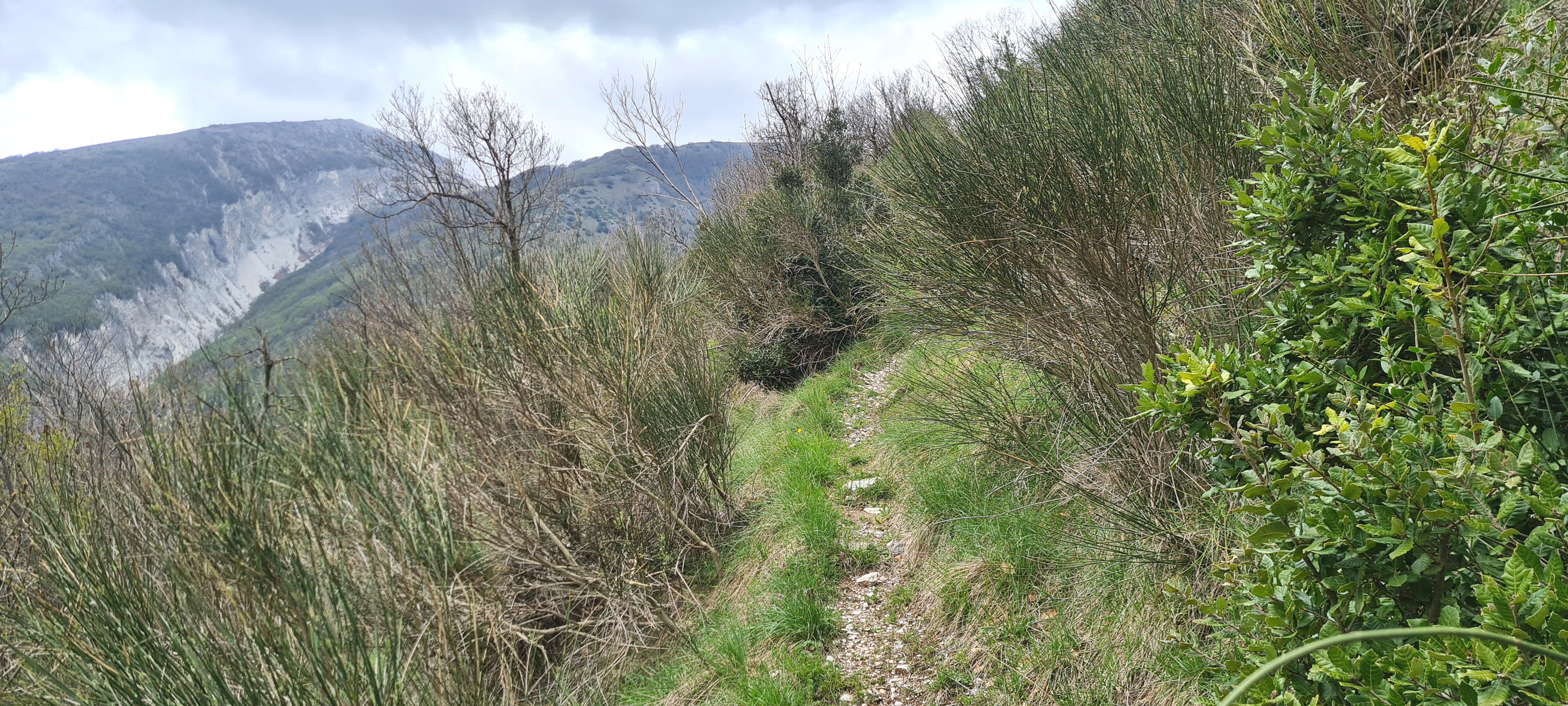 Monte Catria Sentiero 75 - immagine 3