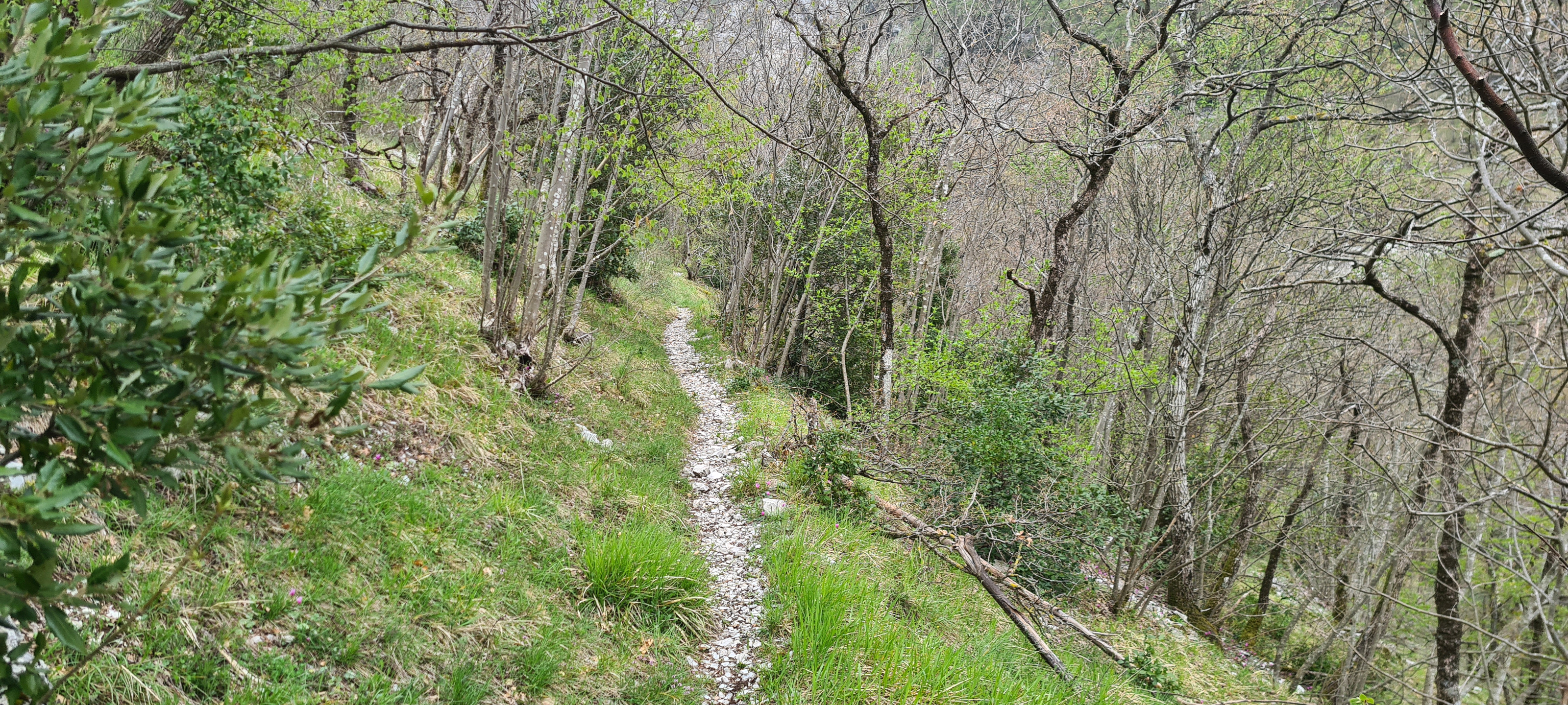 Monte Catria Sentiero 75 - immagine 4