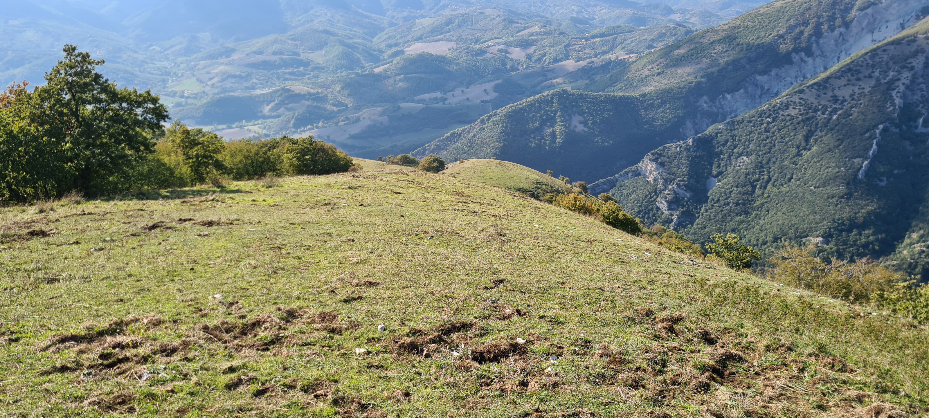 Monte Catria Sentiero 75 - immagine 6