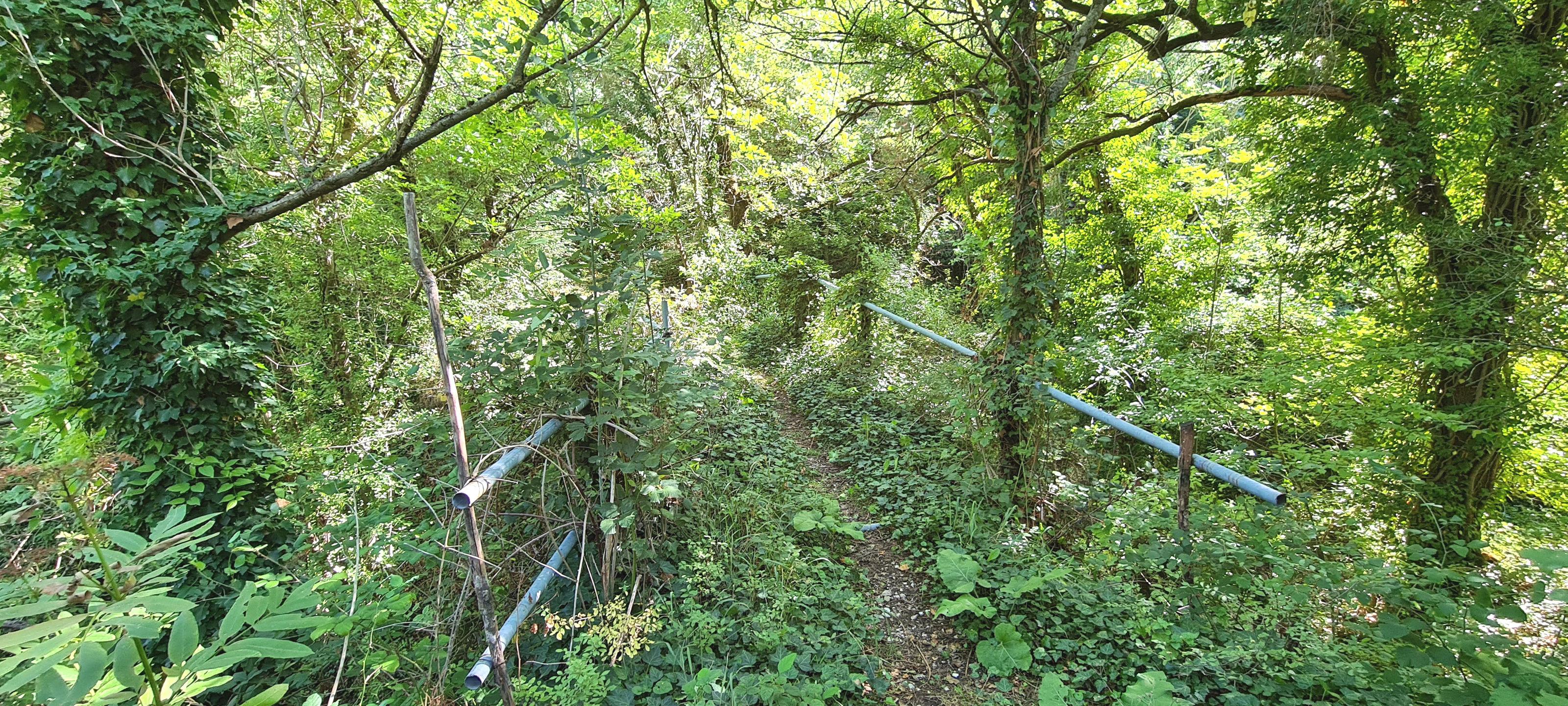 Monte Catria Sentiero 75 - immagine 11