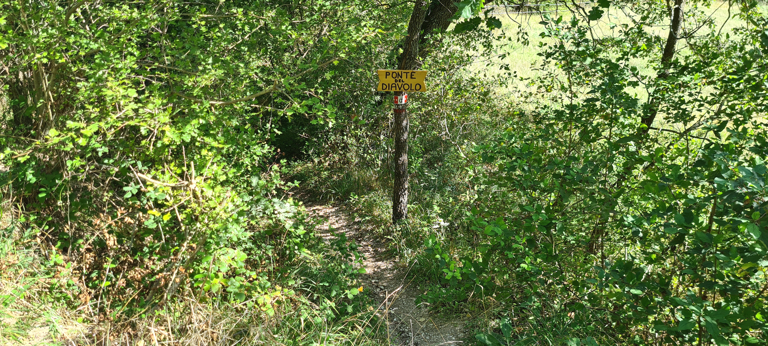 Monte Catria Sentiero 75 - immagine 12