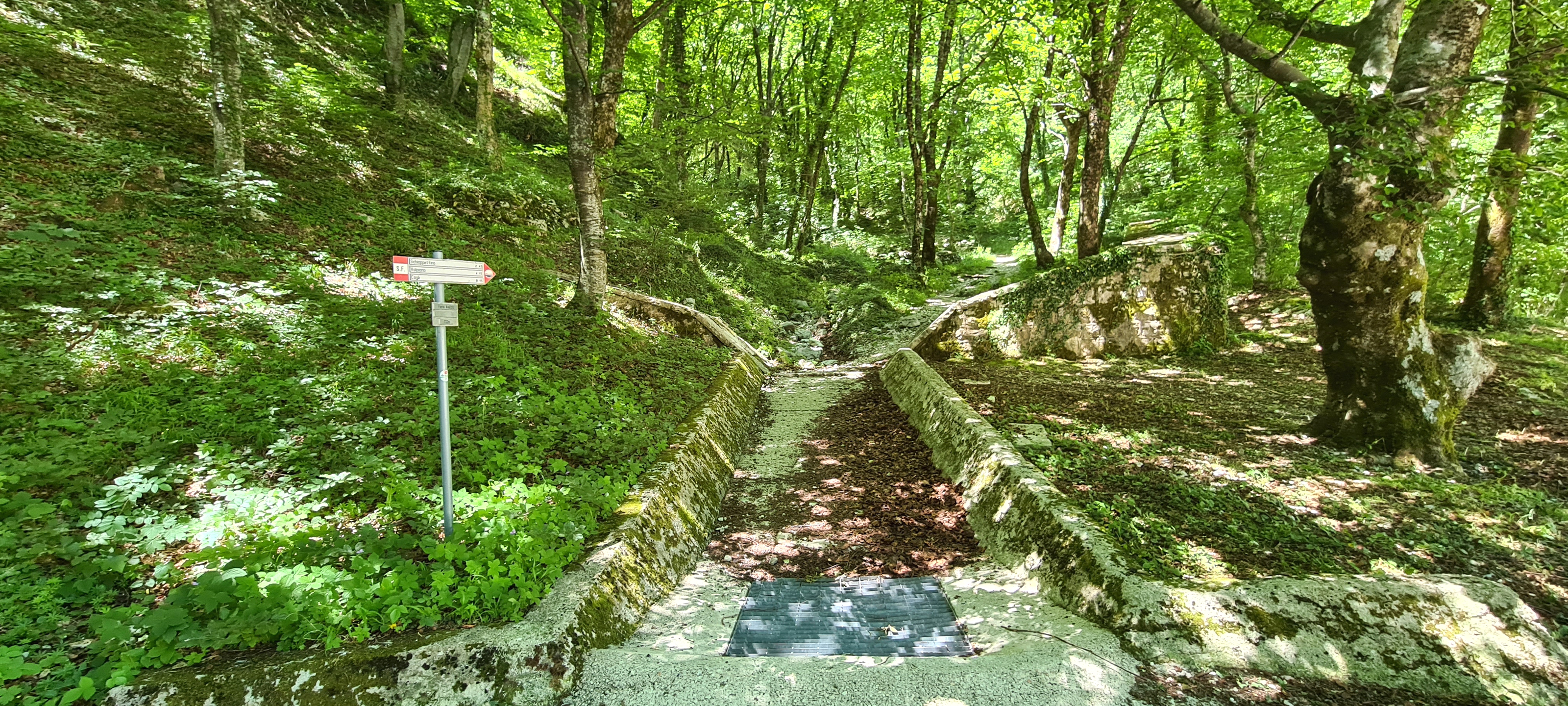 Monte Catria Sentiero 77 - immagine 1