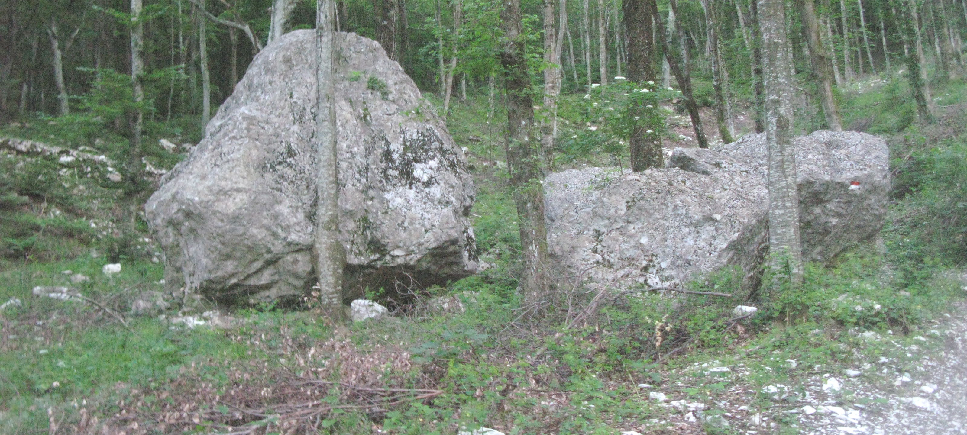 Monte Catria Sentiero 77 - immagine 3