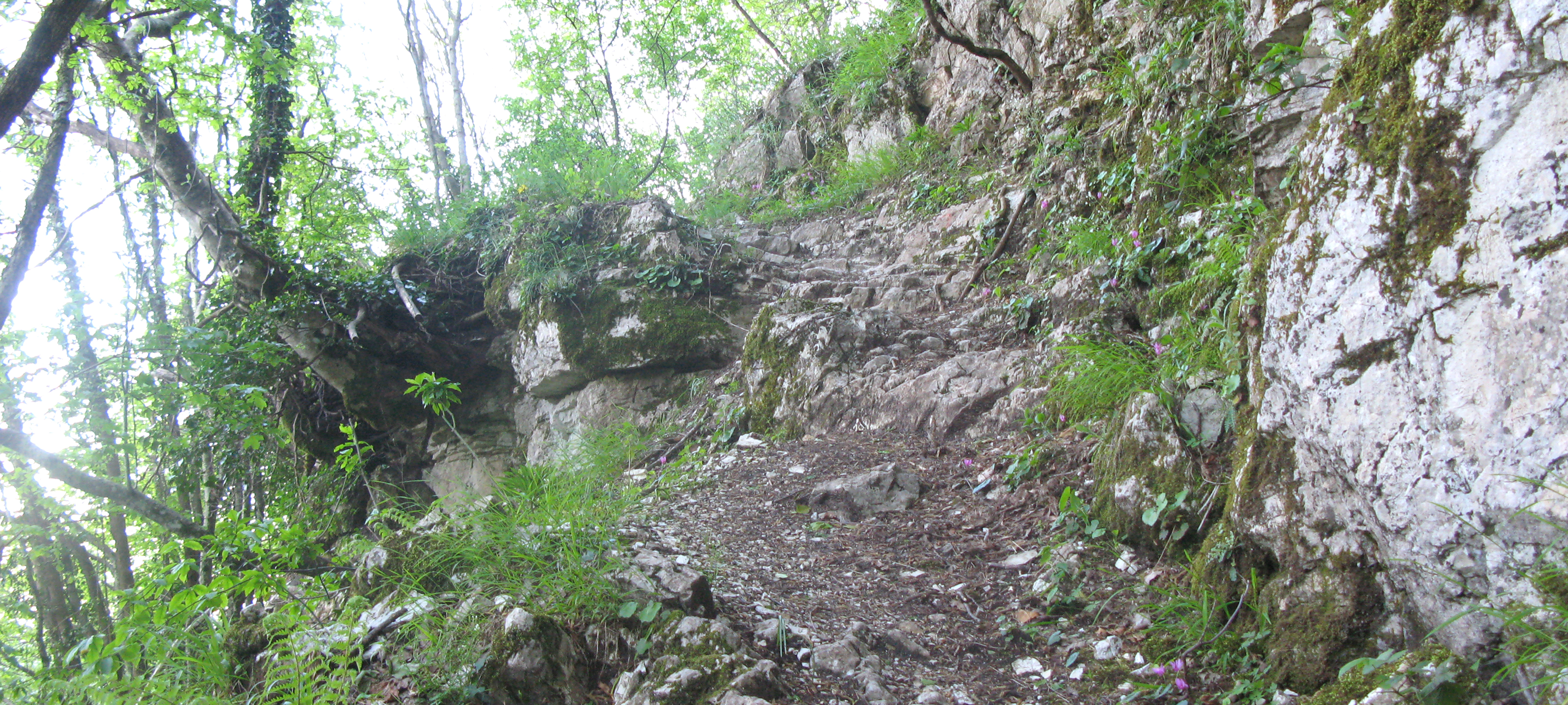 Monte Catria Sentiero 77 - immagine 5