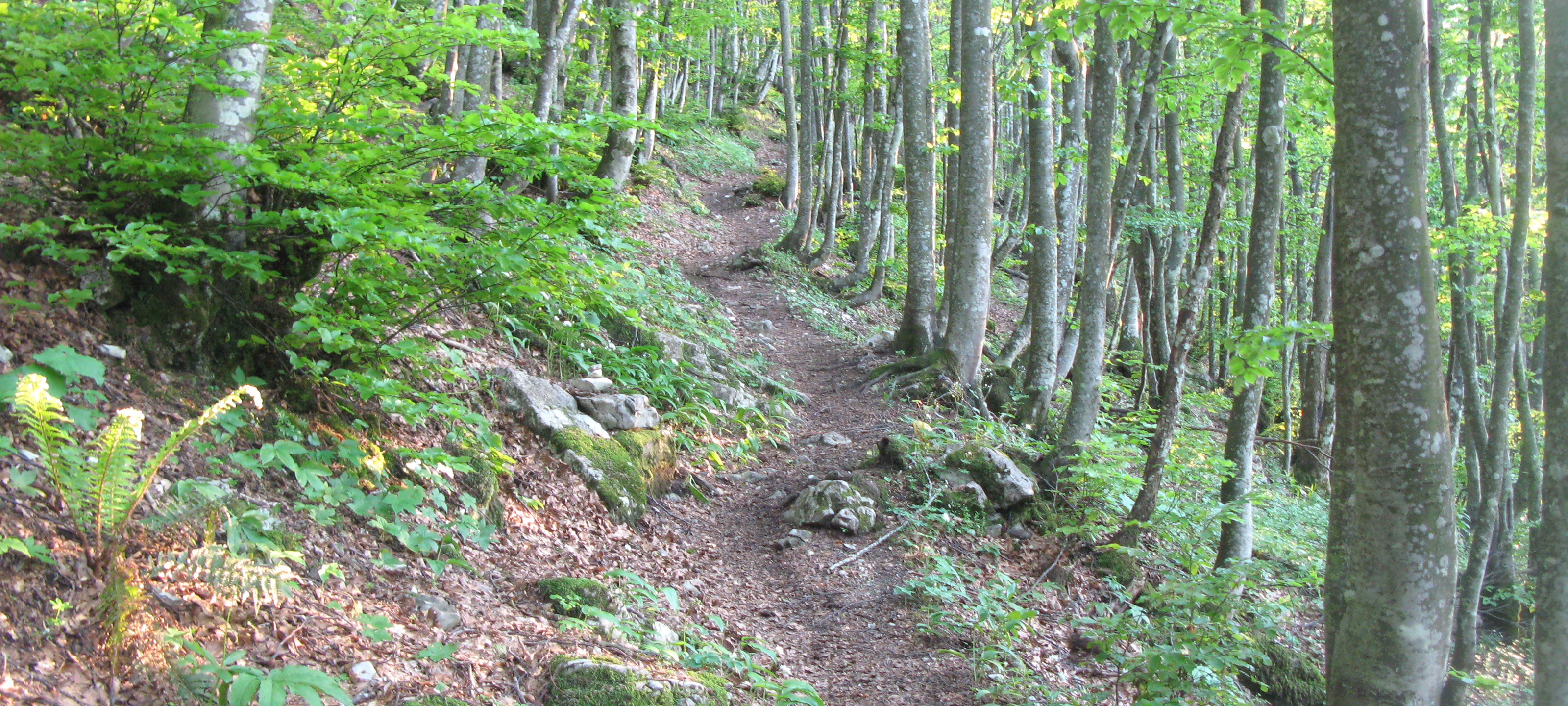 Monte Catria Sentiero 77 - immagine 7