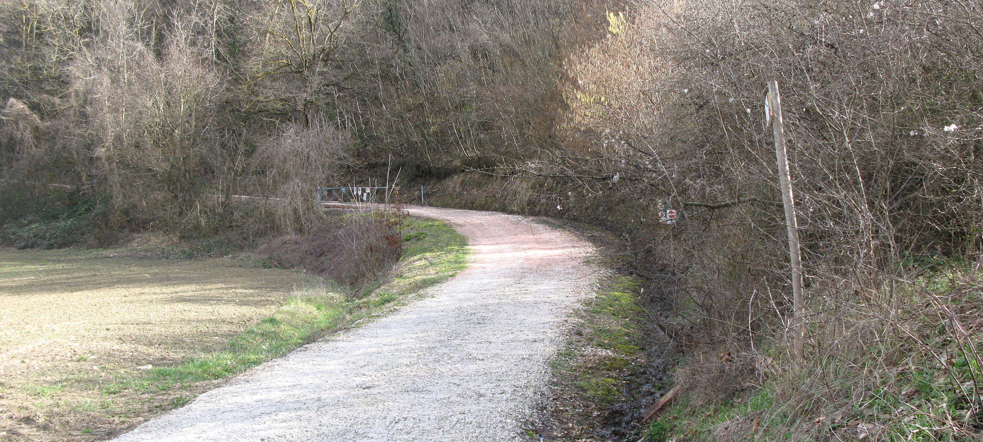 Alpe della Luna Sentiero 83 - immagine 1