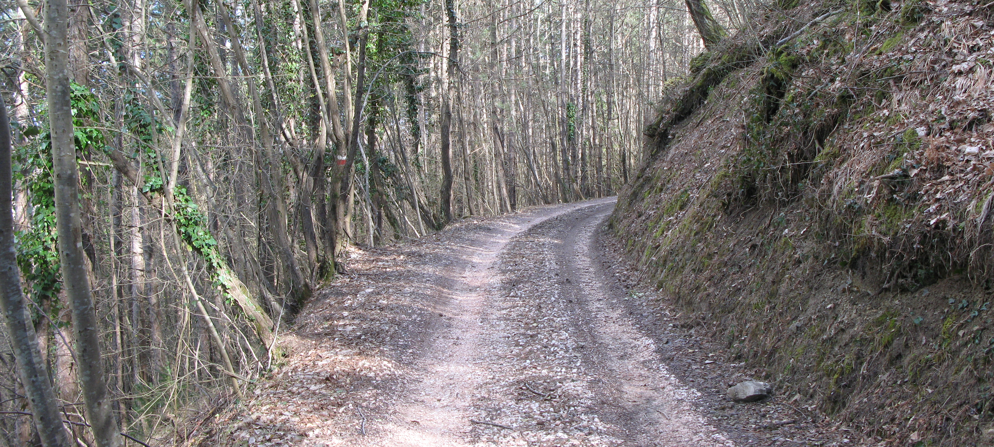 Alpe della Luna Sentiero 83 - immagine 3