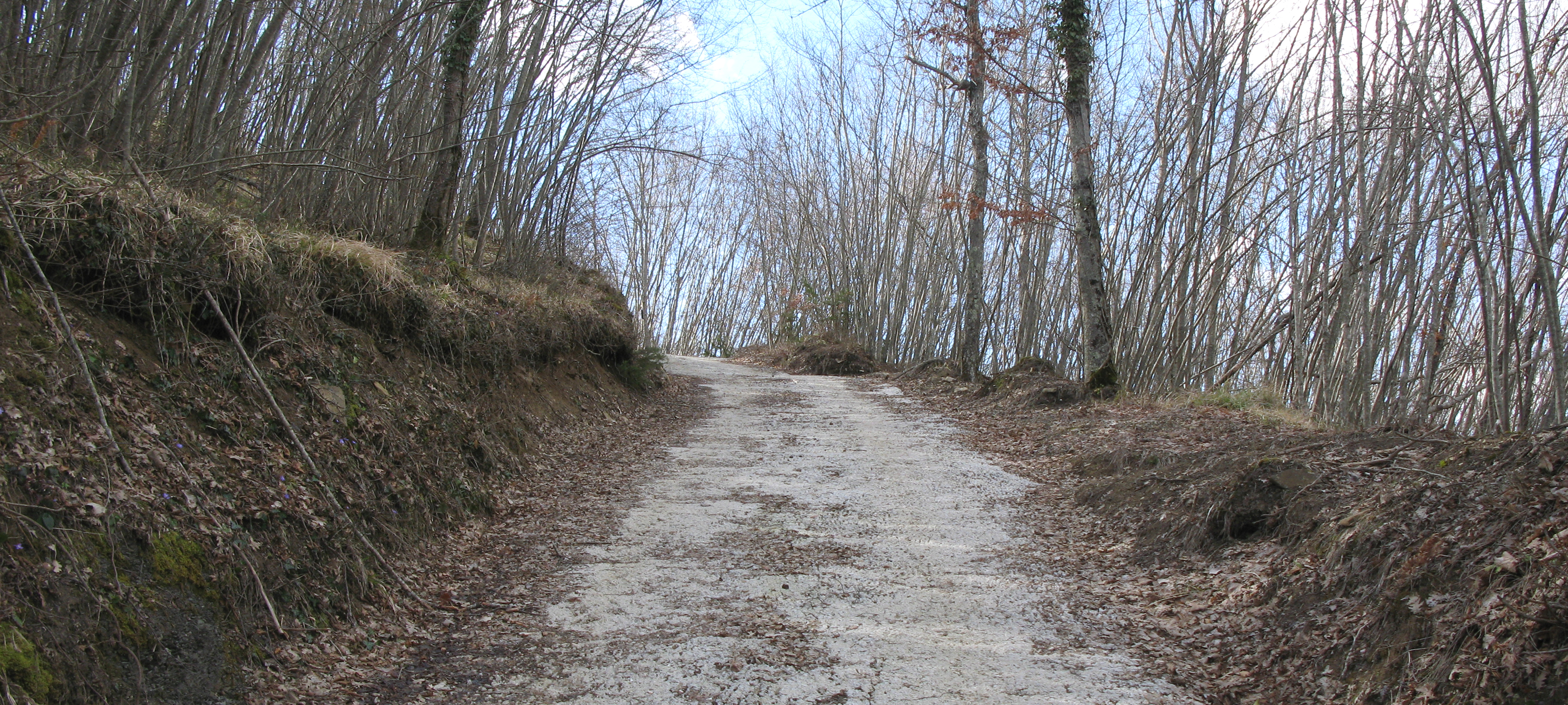 Alpe della Luna Sentiero 83 - immagine 5