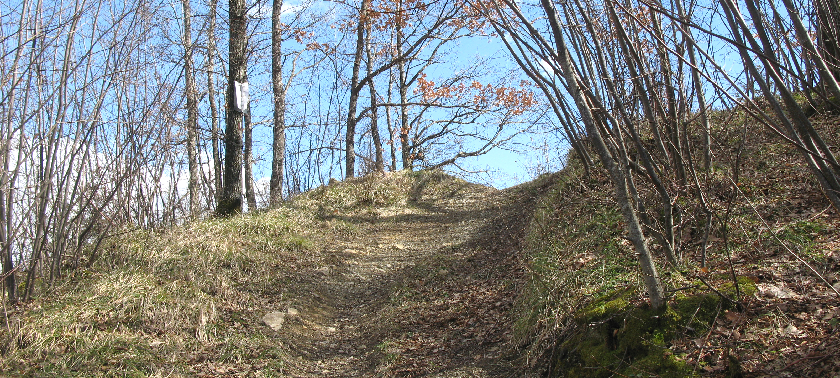 Alpe della Luna Sentiero 83 - immagine 10