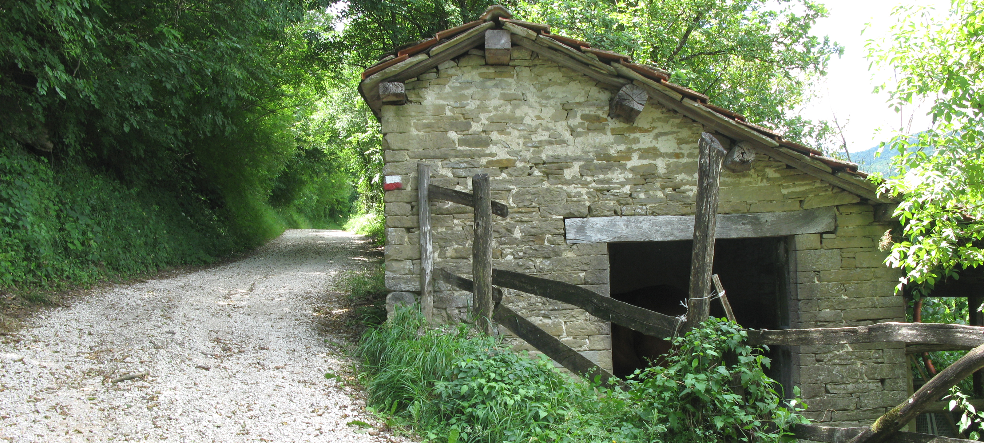 Alpe della Luna Sentiero 84 - immagine 2