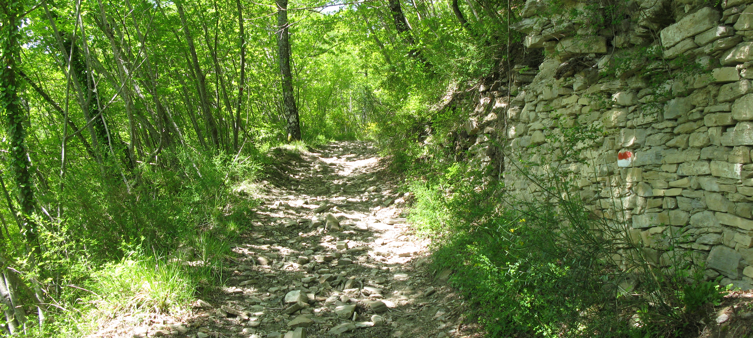 Alpe della Luna Sentiero 85 - immagine 3