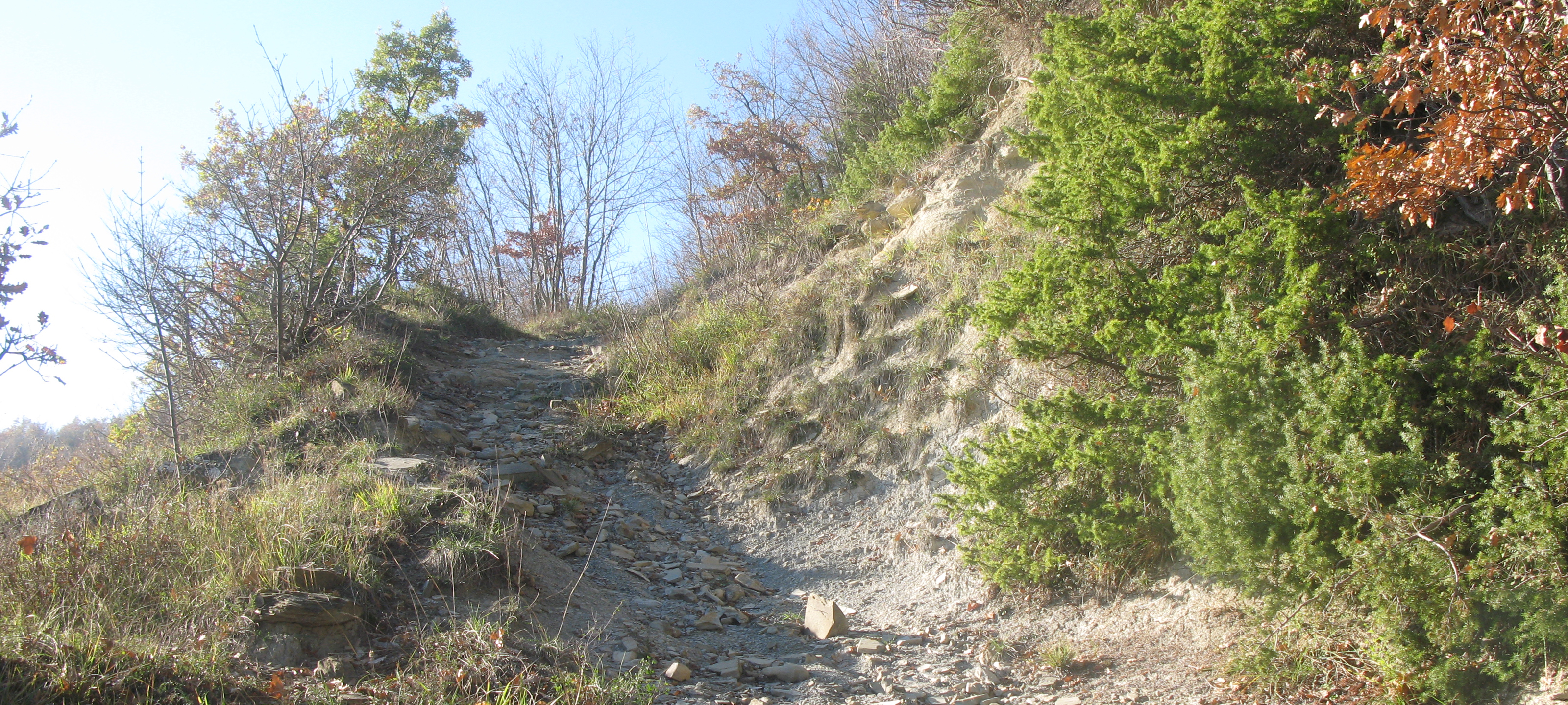 Alpe della Luna Sentiero 87 - immagine 10