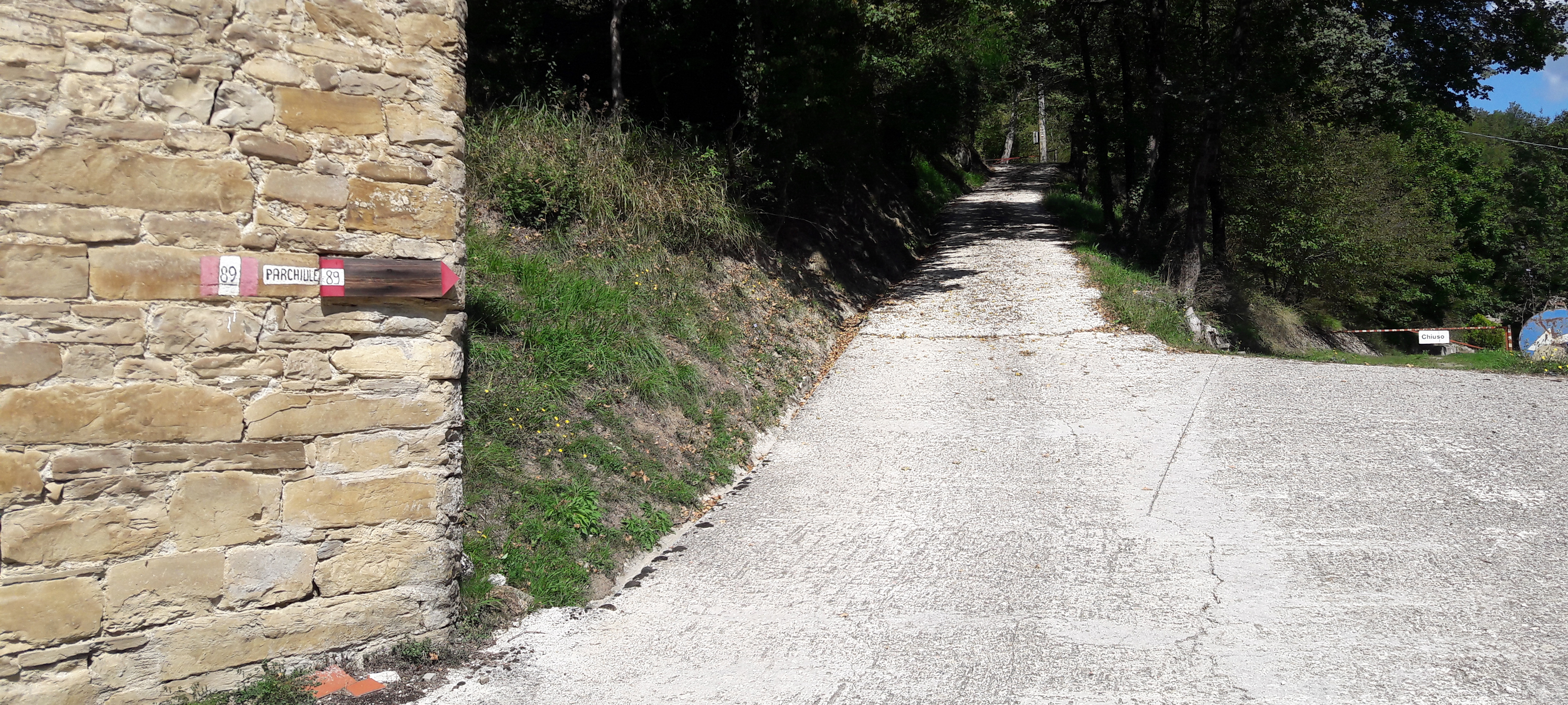 Alpe della Luna Sentiero 89 - immagine 1