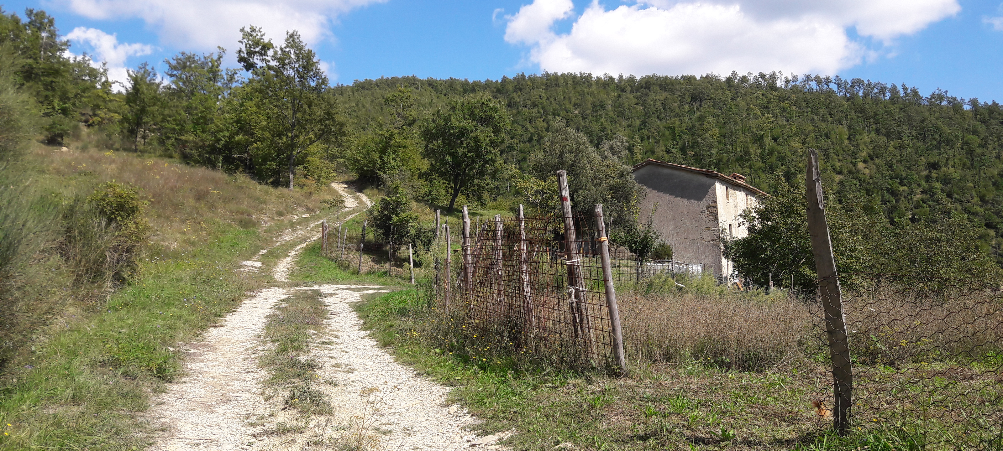 Alpe della Luna Sentiero 89 - immagine 3