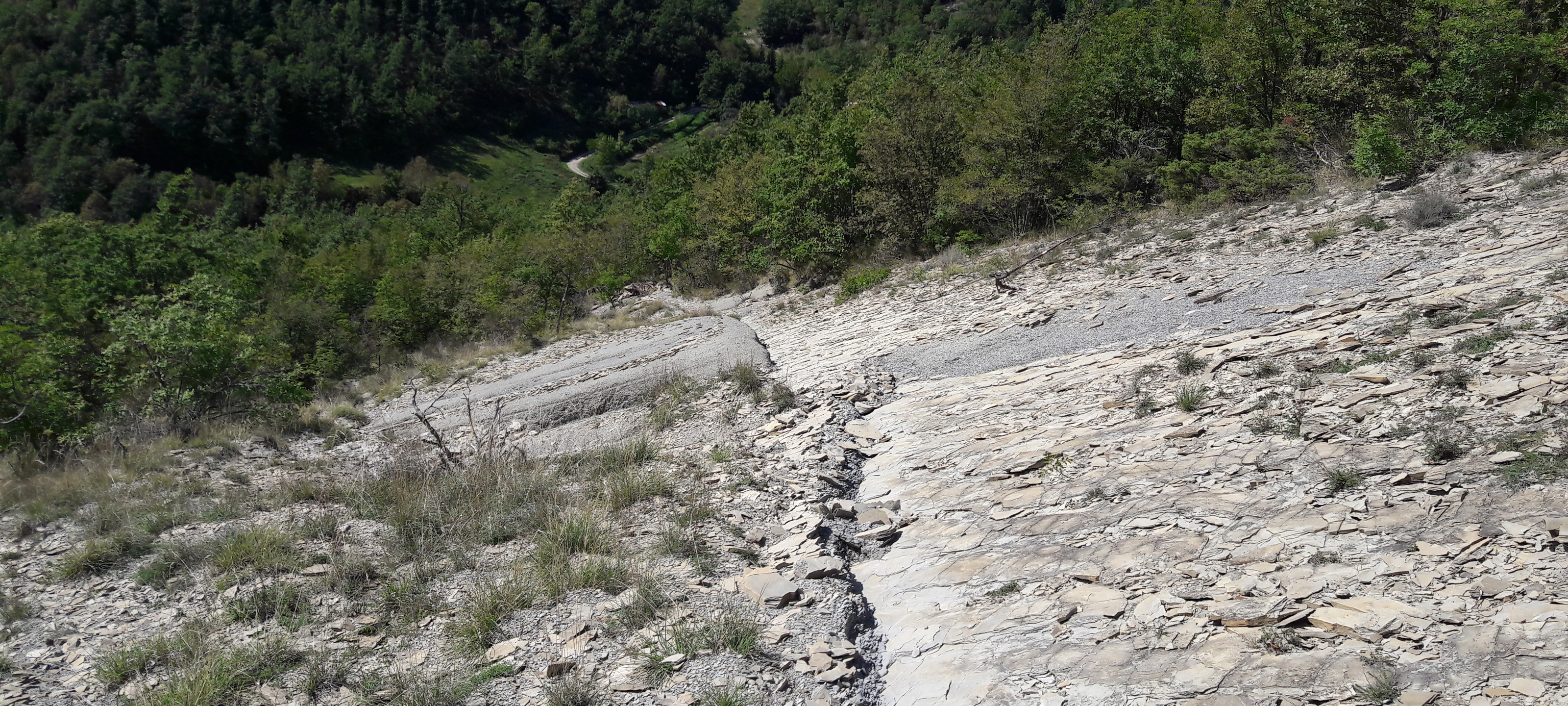 Alpe della Luna Sentiero 89 - immagine 8