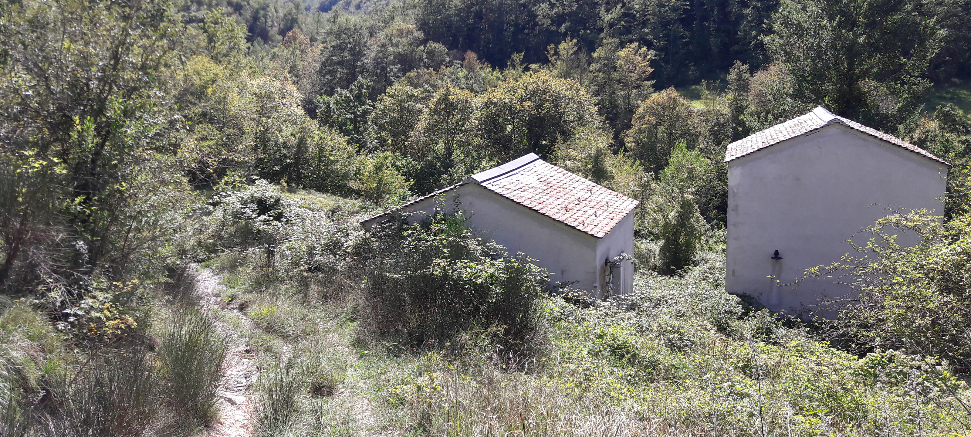 Alpe della Luna Sentiero 89 - immagine 10 (Ranco Fabbro)