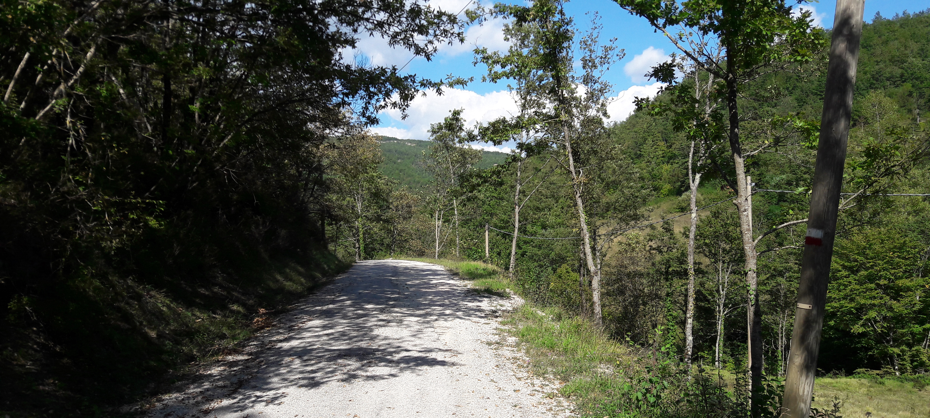 Alpe della Luna Sentiero 89 - immagine 11