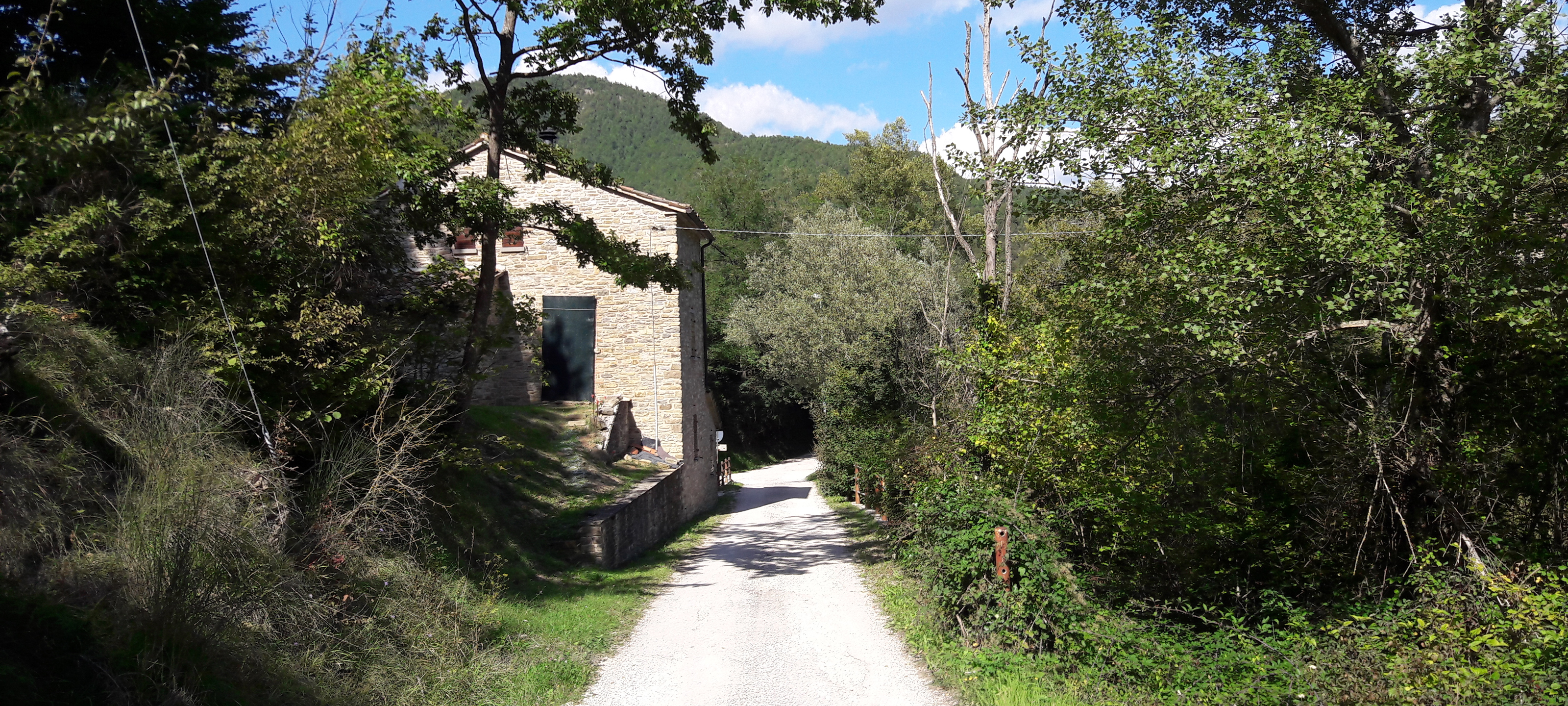 Alpe della Luna Sentiero 89 - immagine 12