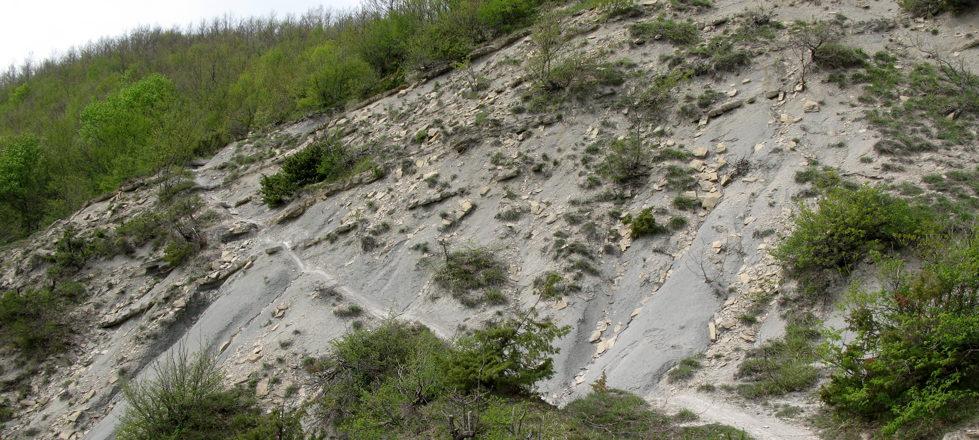 Alpe della Luna Sentiero 90 - immagine 3
