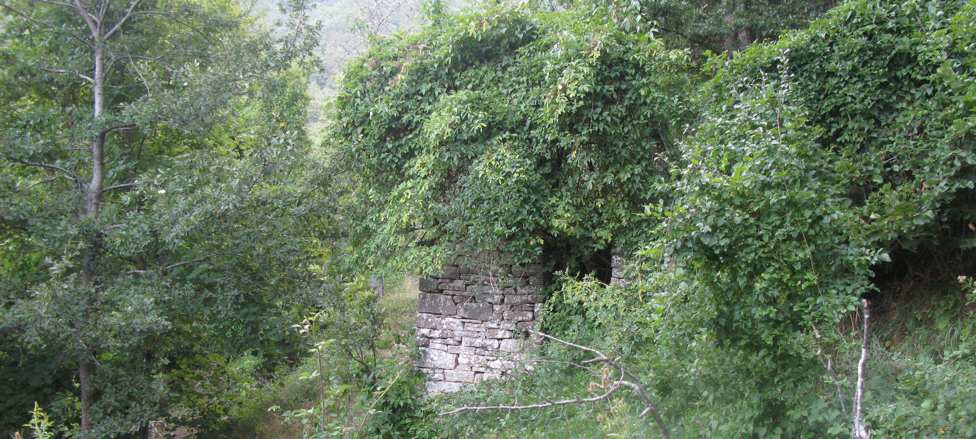 Alpe della Luna Sentiero 90 - immagine 11