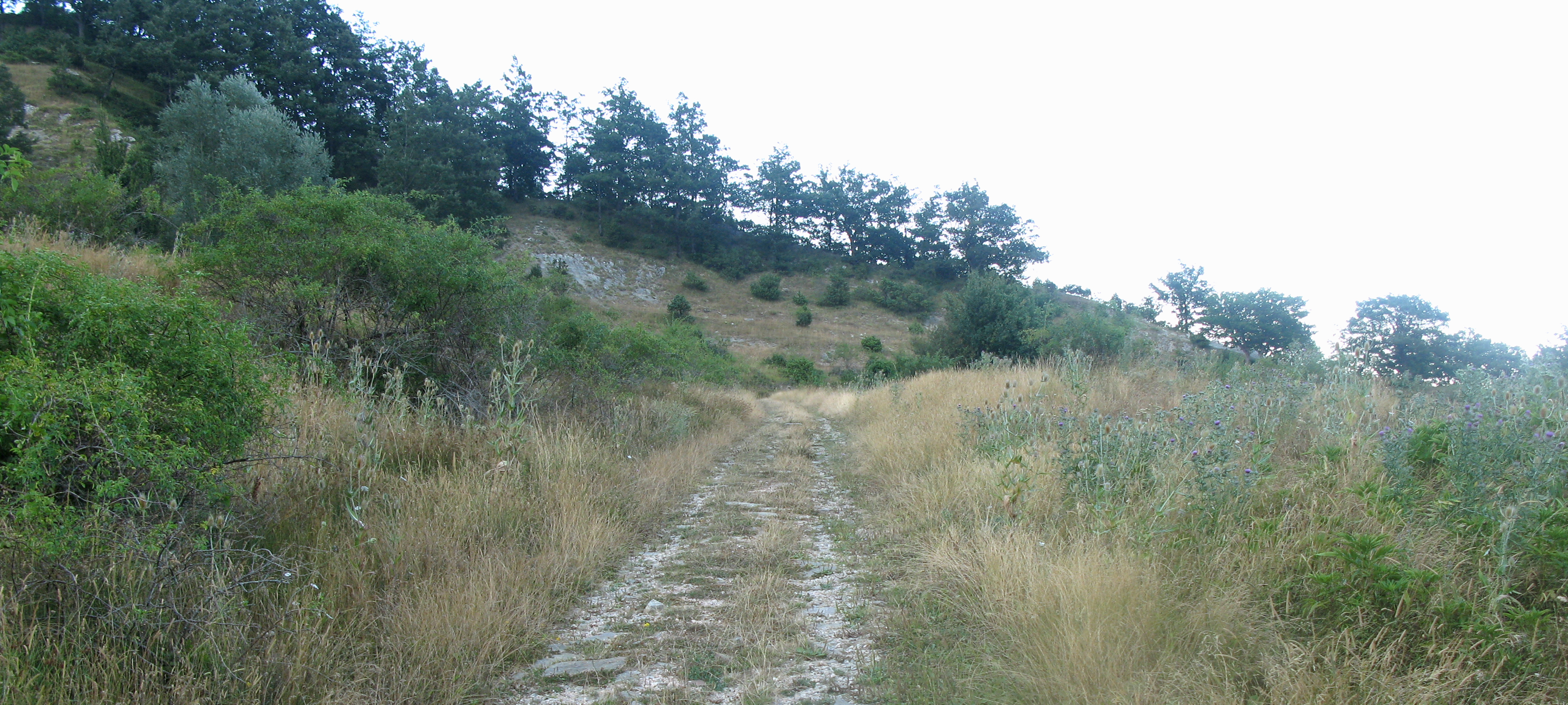 Alpe della Luna Sentiero 90 - immagine 12