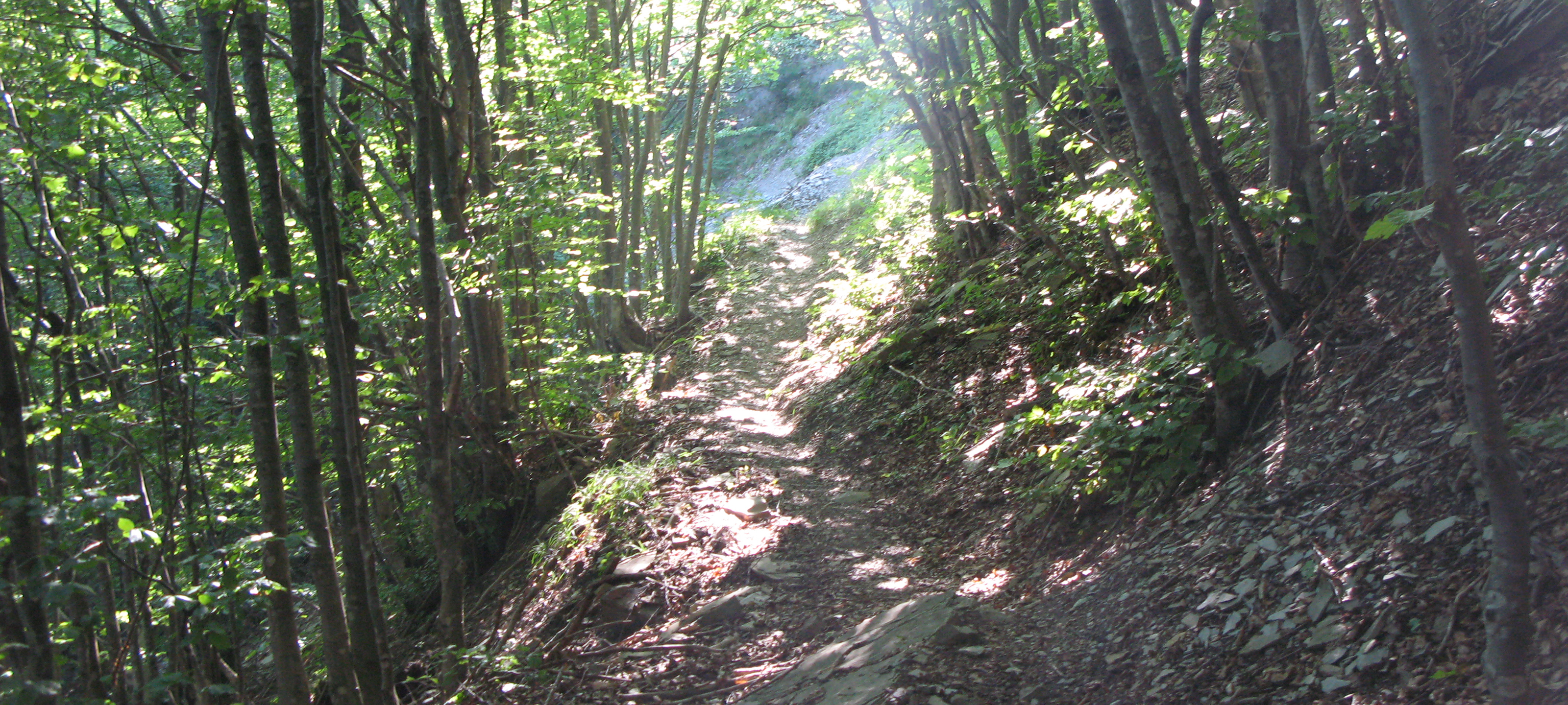 Alpe della Luna Sentiero 90 - immagine 13