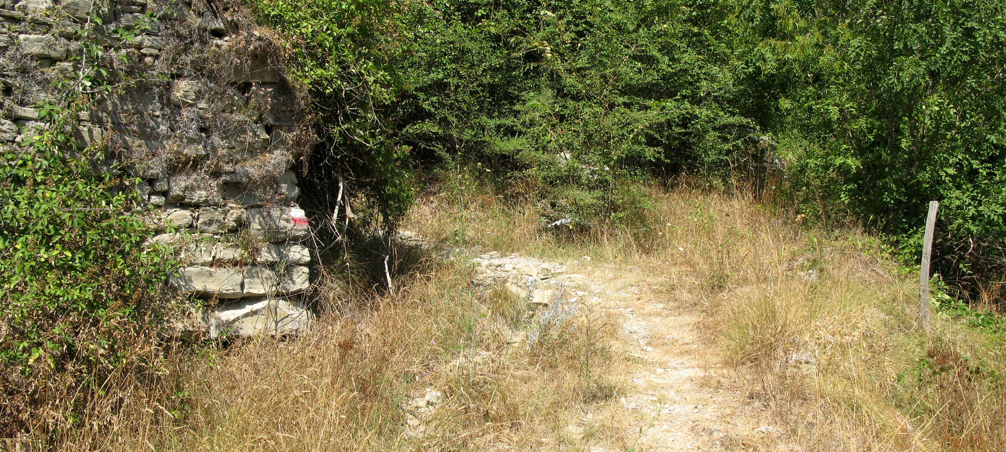 Alpe della Luna Sentiero 90bis - immagine 2
