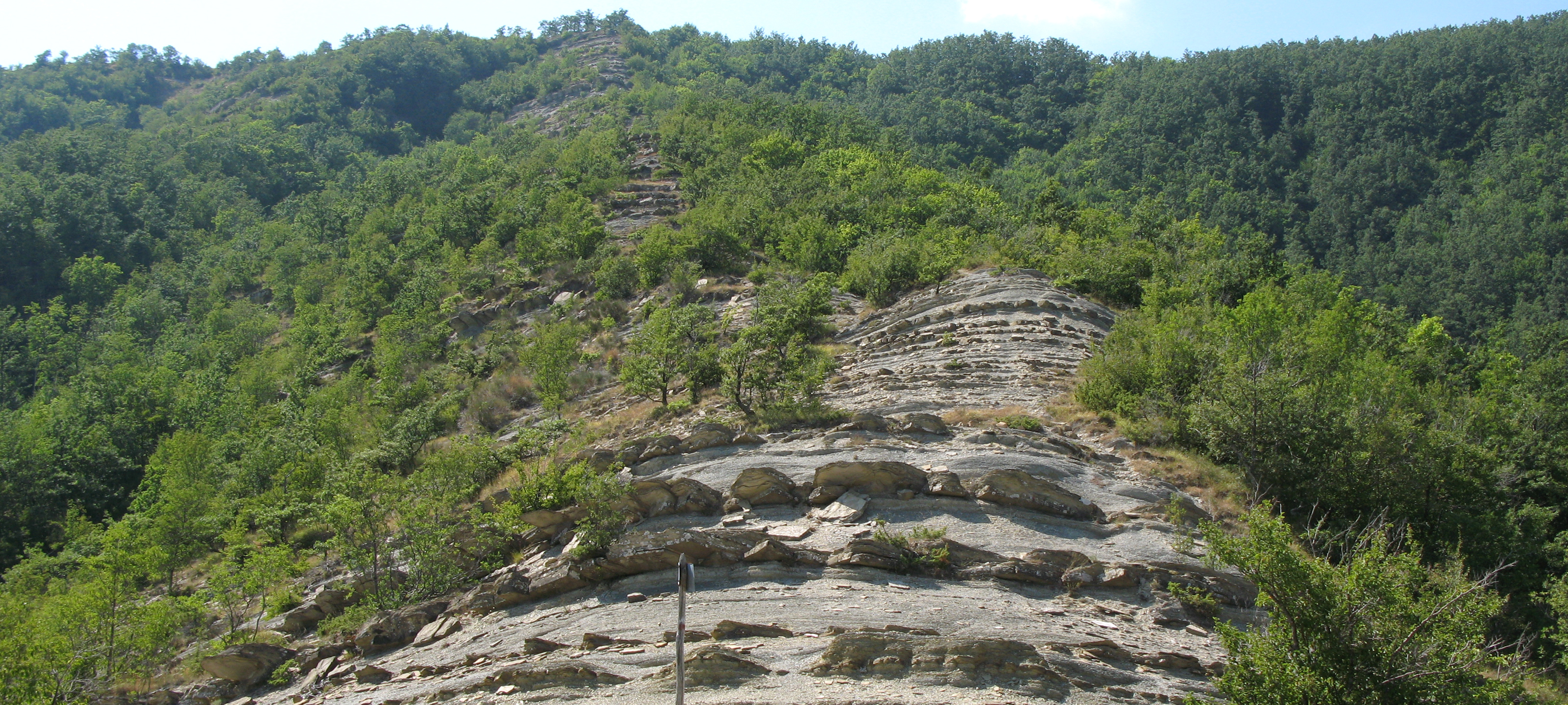 Alpe della Luna Sentiero 90bis - immagine 5