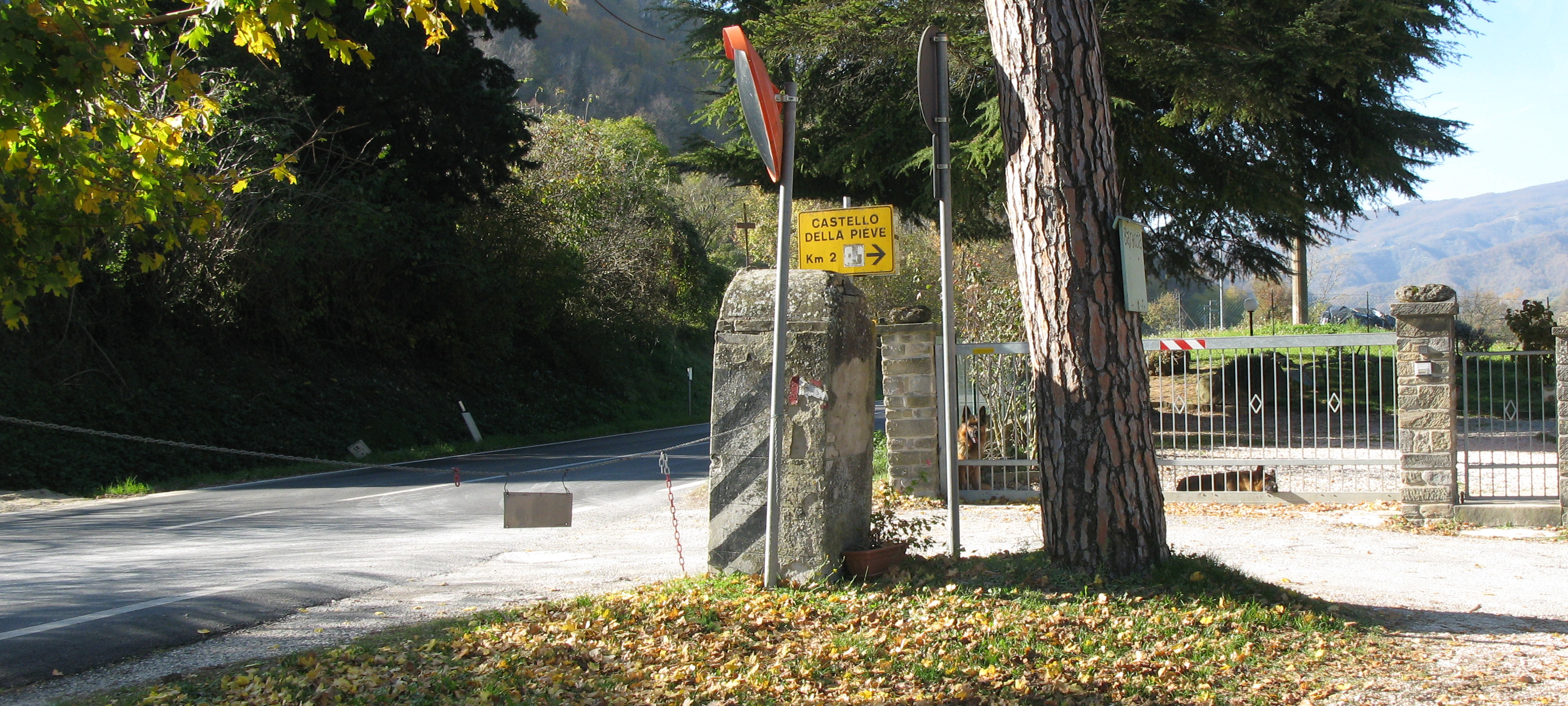 Alpe della Luna Sentiero 91 - immagine 1 (Case Fiumelungo)