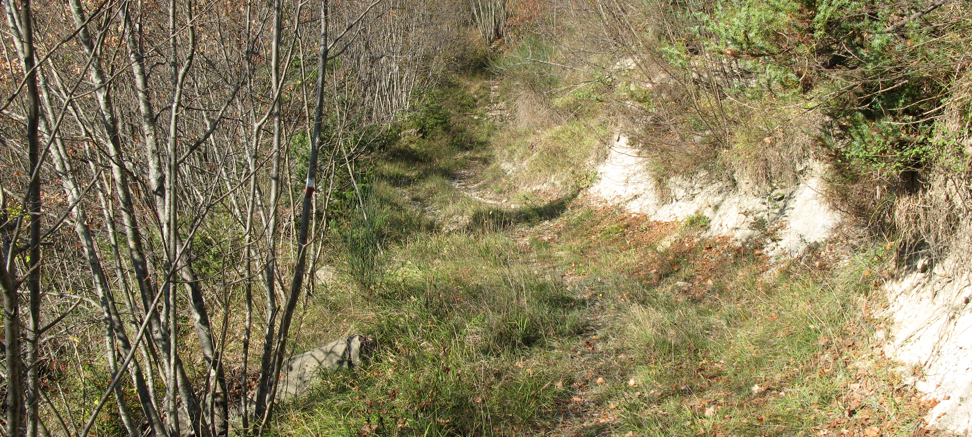 Alpe della Luna Sentiero 91 - immagine 4