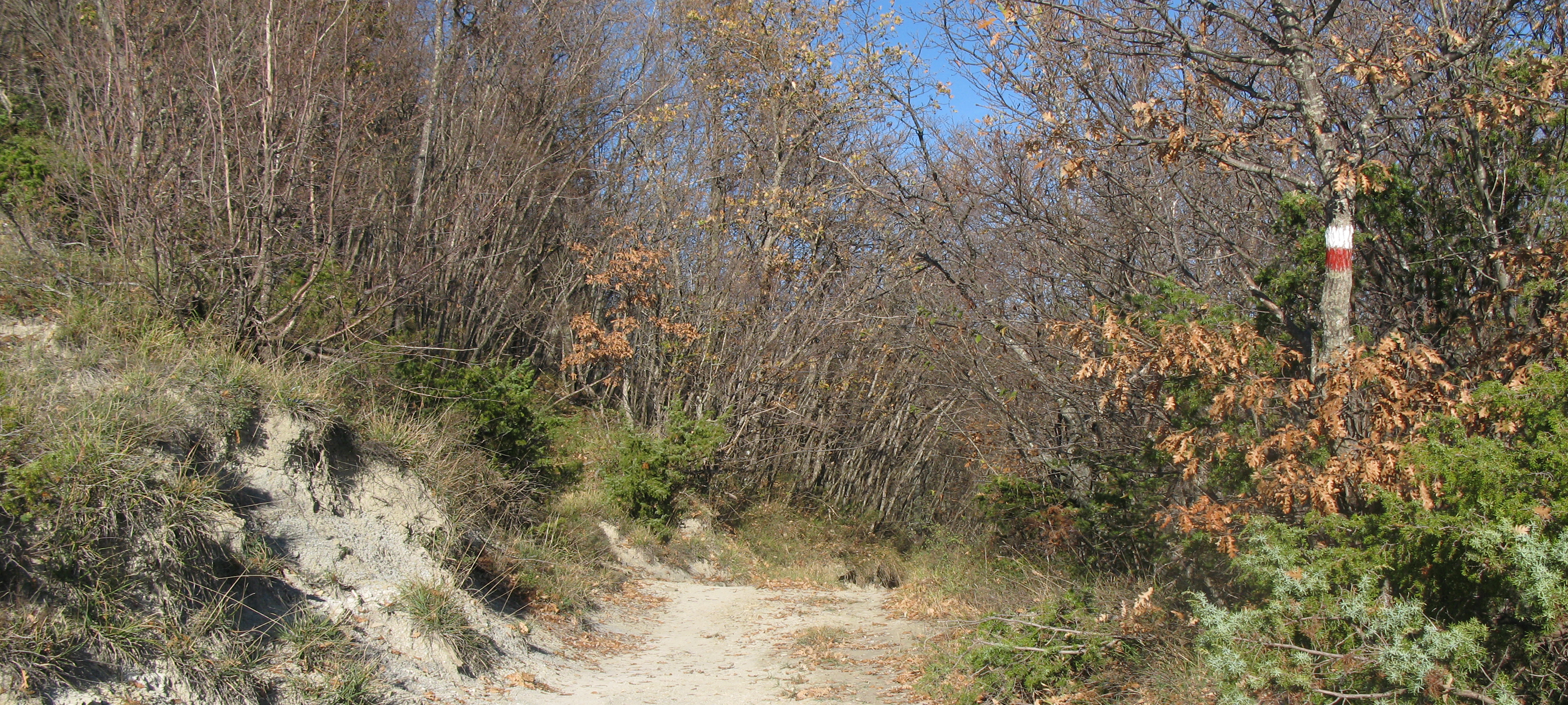 Alpe della Luna Sentiero 91 - immagine 11