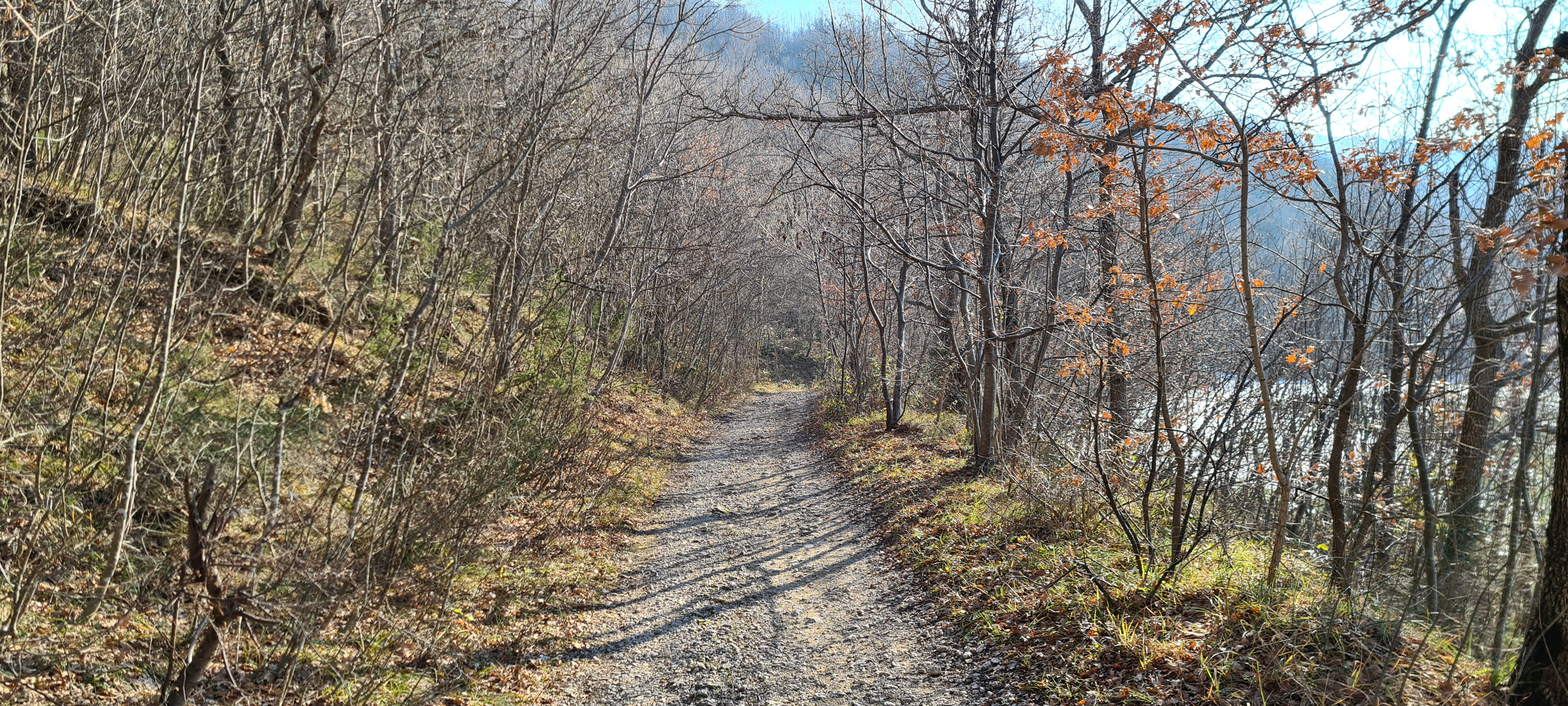 Parco Sasso Simone e Simoncello Sentiero 95 - immagine 3
