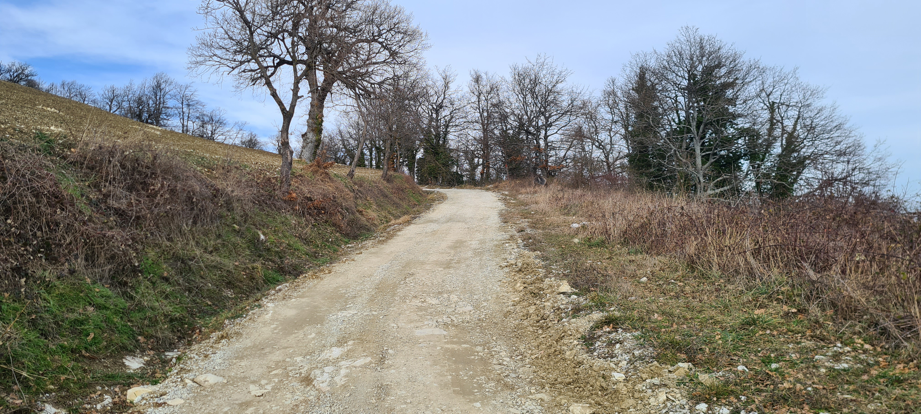Parco Sasso Simone e Simoncello Sentiero 95 - immagine 5