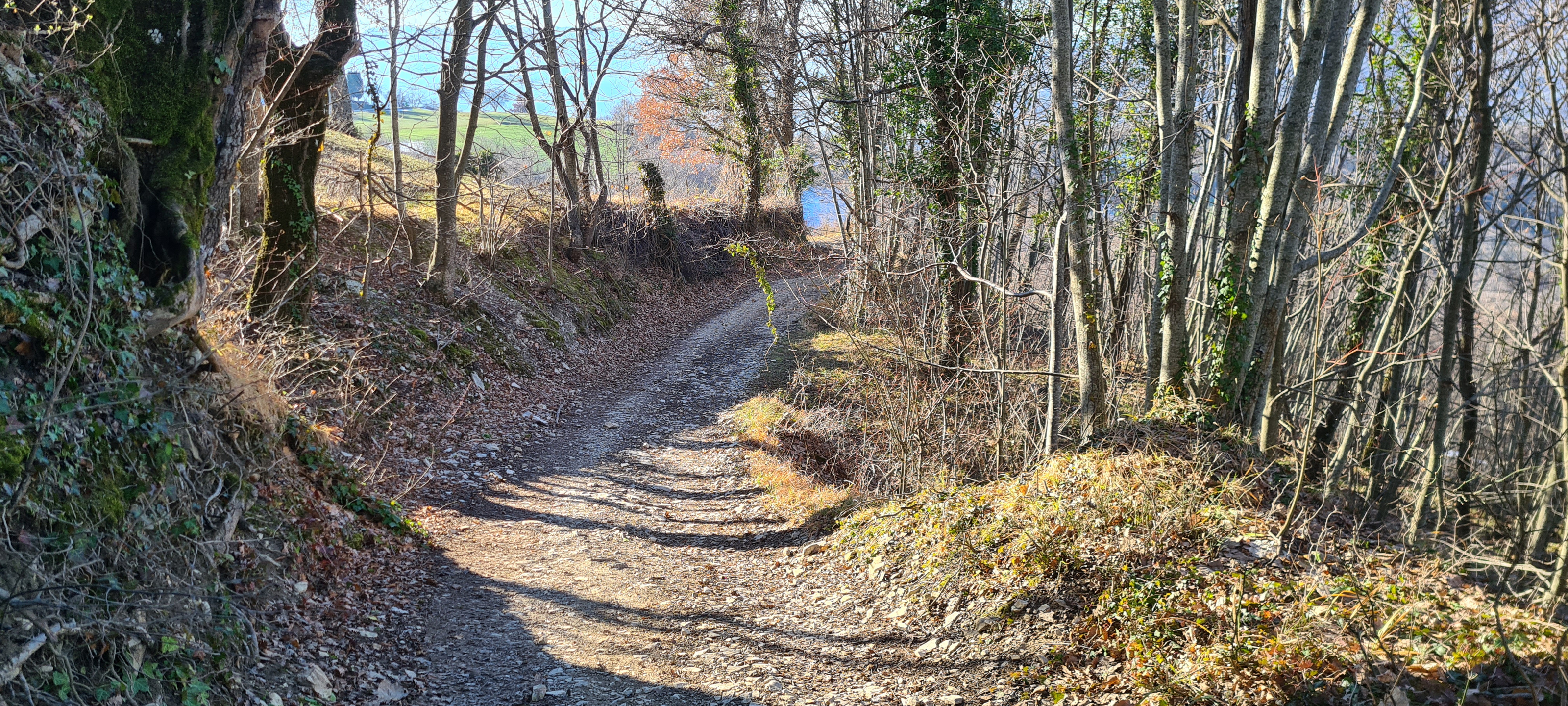 Parco Sasso Simone e Simoncello Sentiero 95 - immagine 7