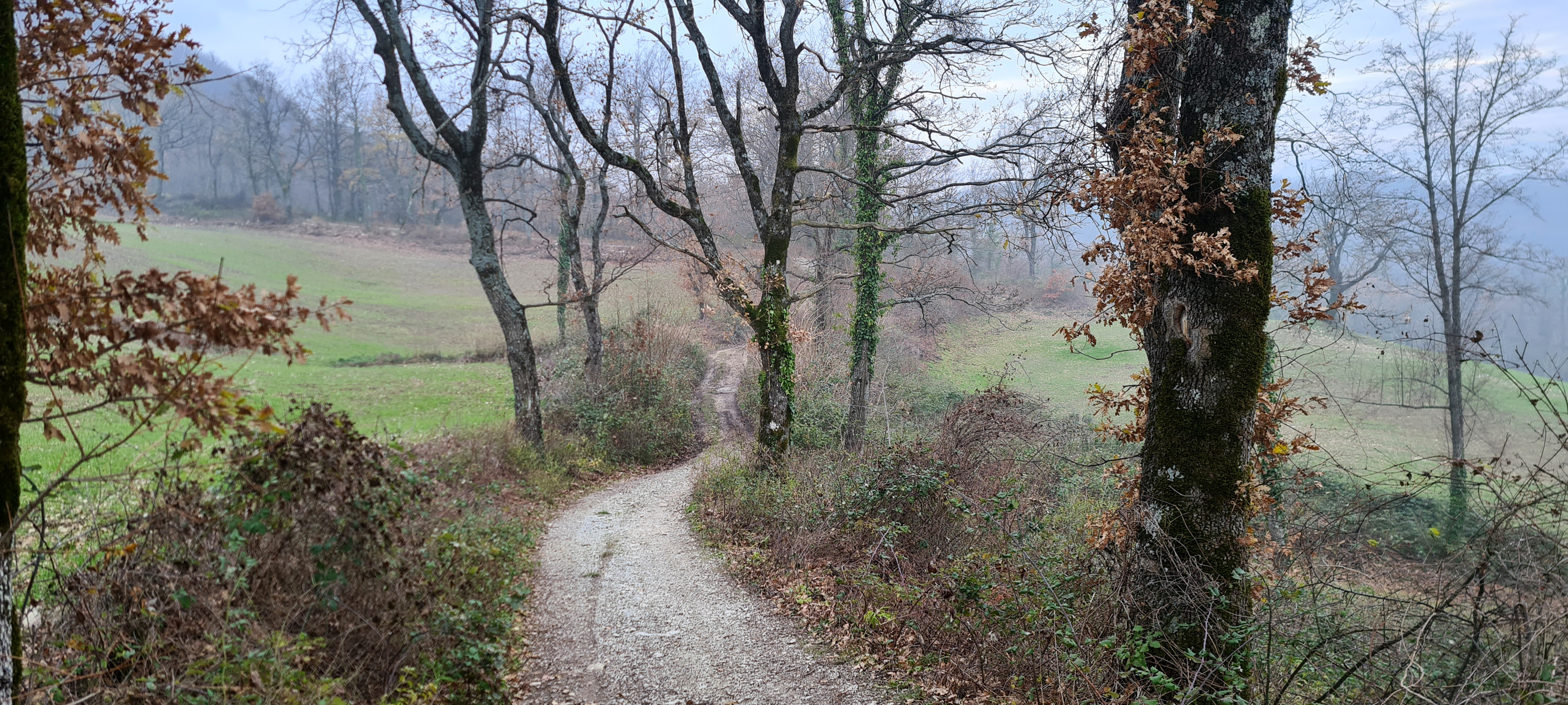 Parco Sasso Simone e Simoncello Sentiero 95 - immagine 9