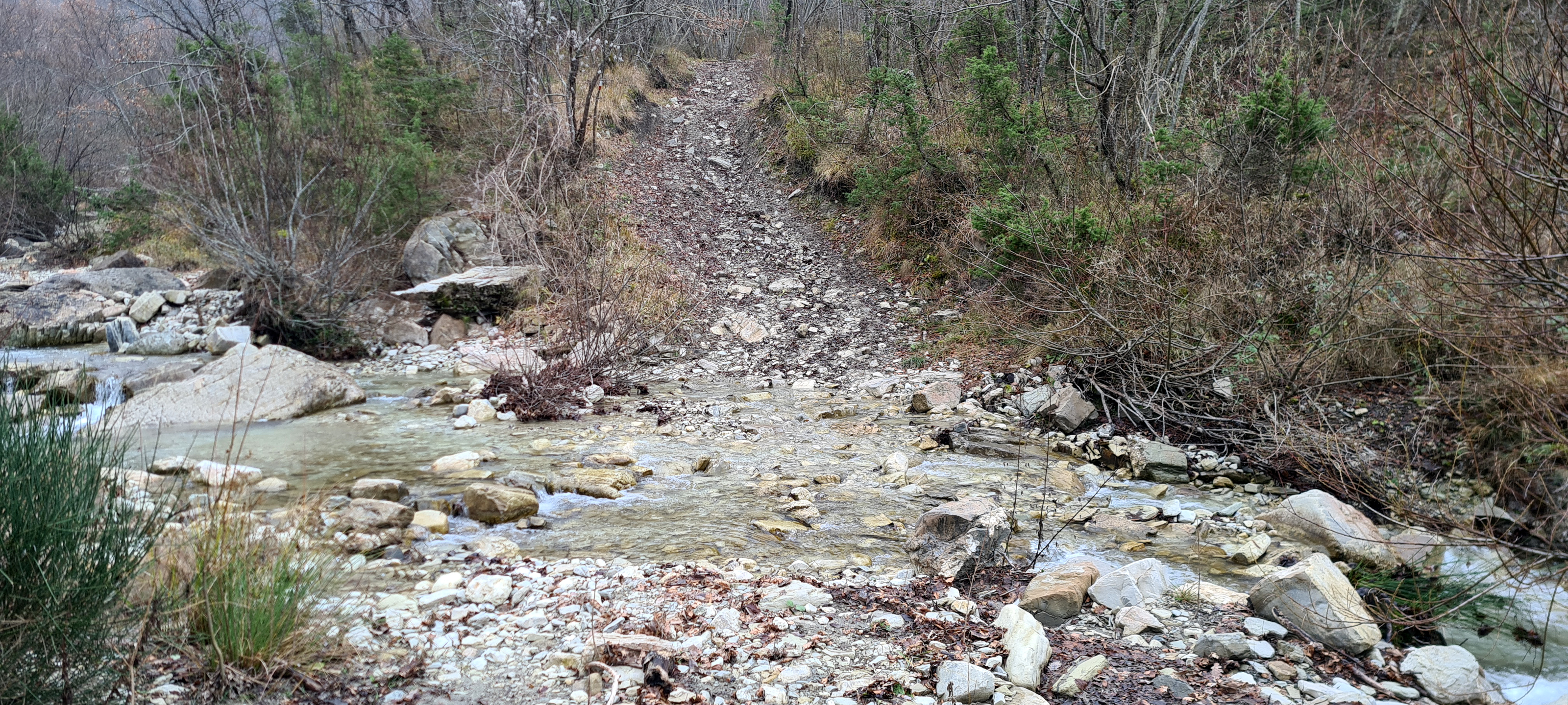 Parco Sasso Simone e Simoncello Sentiero 95 - immagine 10