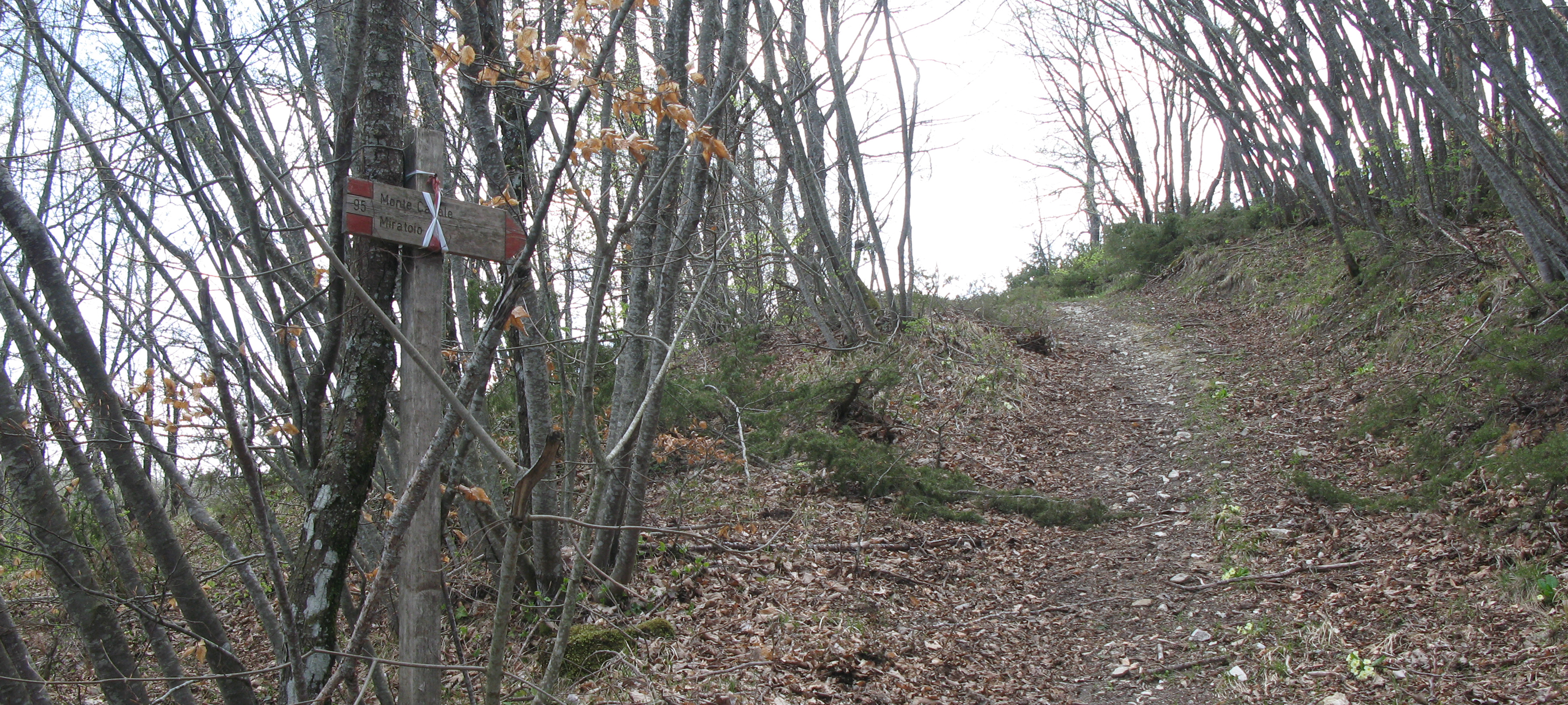 Parco Sasso Simone e Simoncello Sentiero 95 - immagine 11