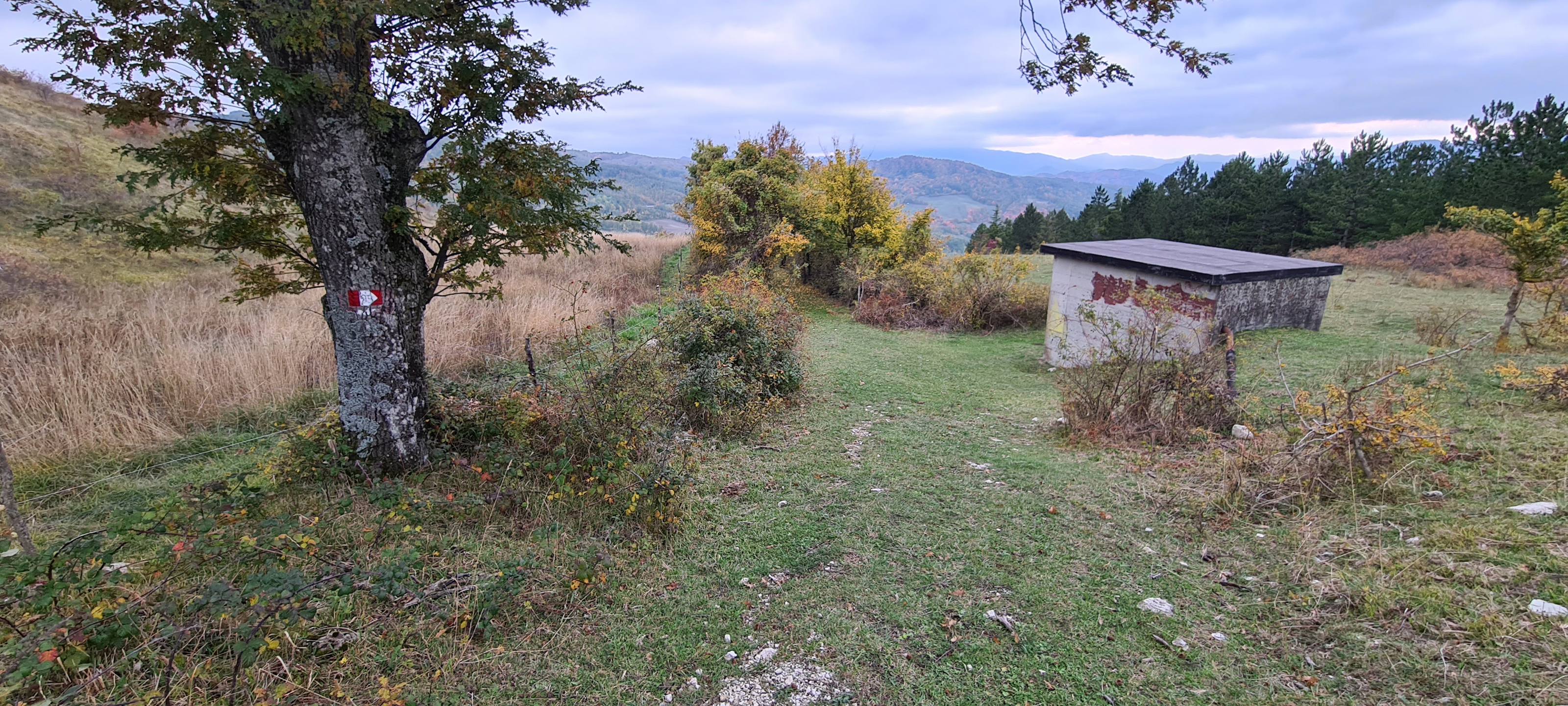 Parco Sasso Simone e Simoncello Sentiero 95 - immagine 13