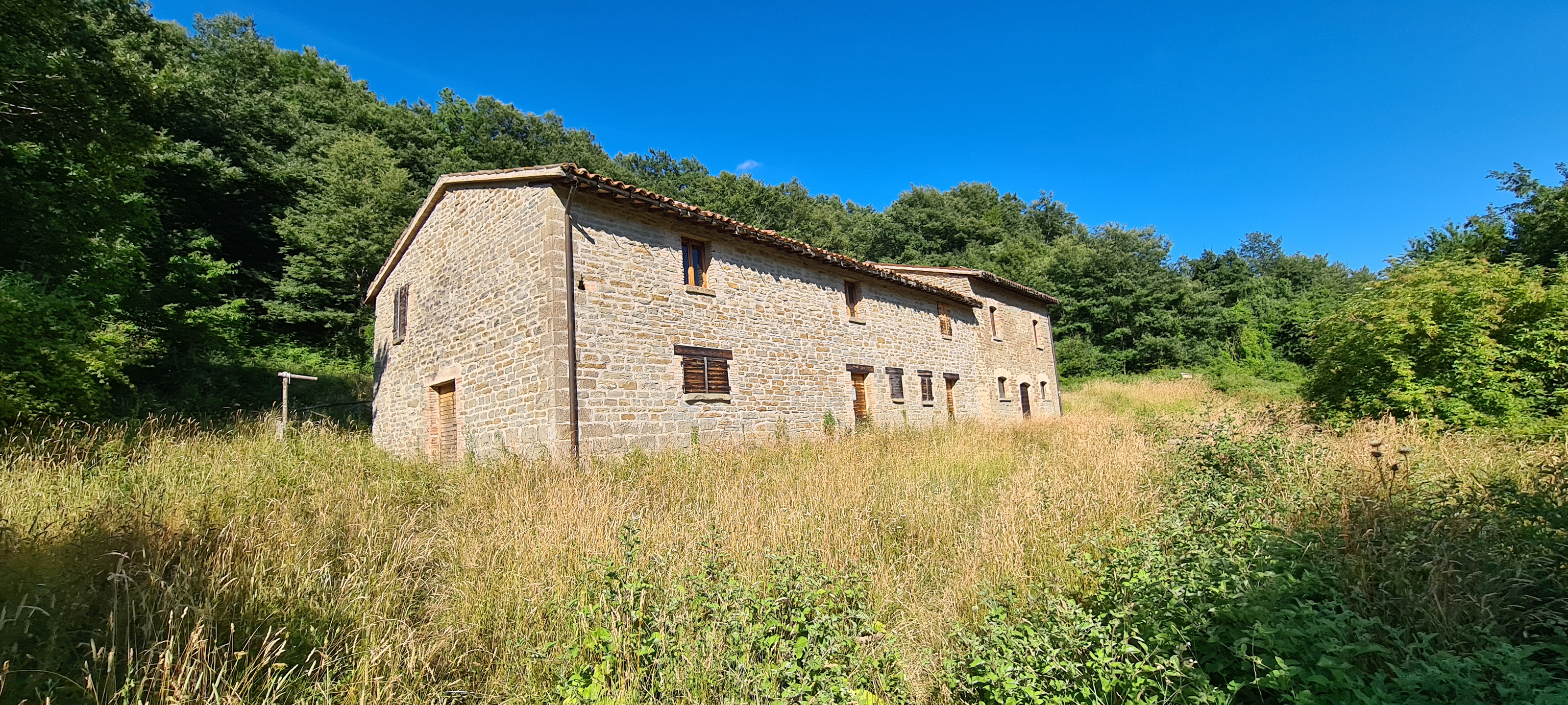 Bosco di Tecchie Sentiero 276B-1 - immagine 10 (Ca' Tecchie)