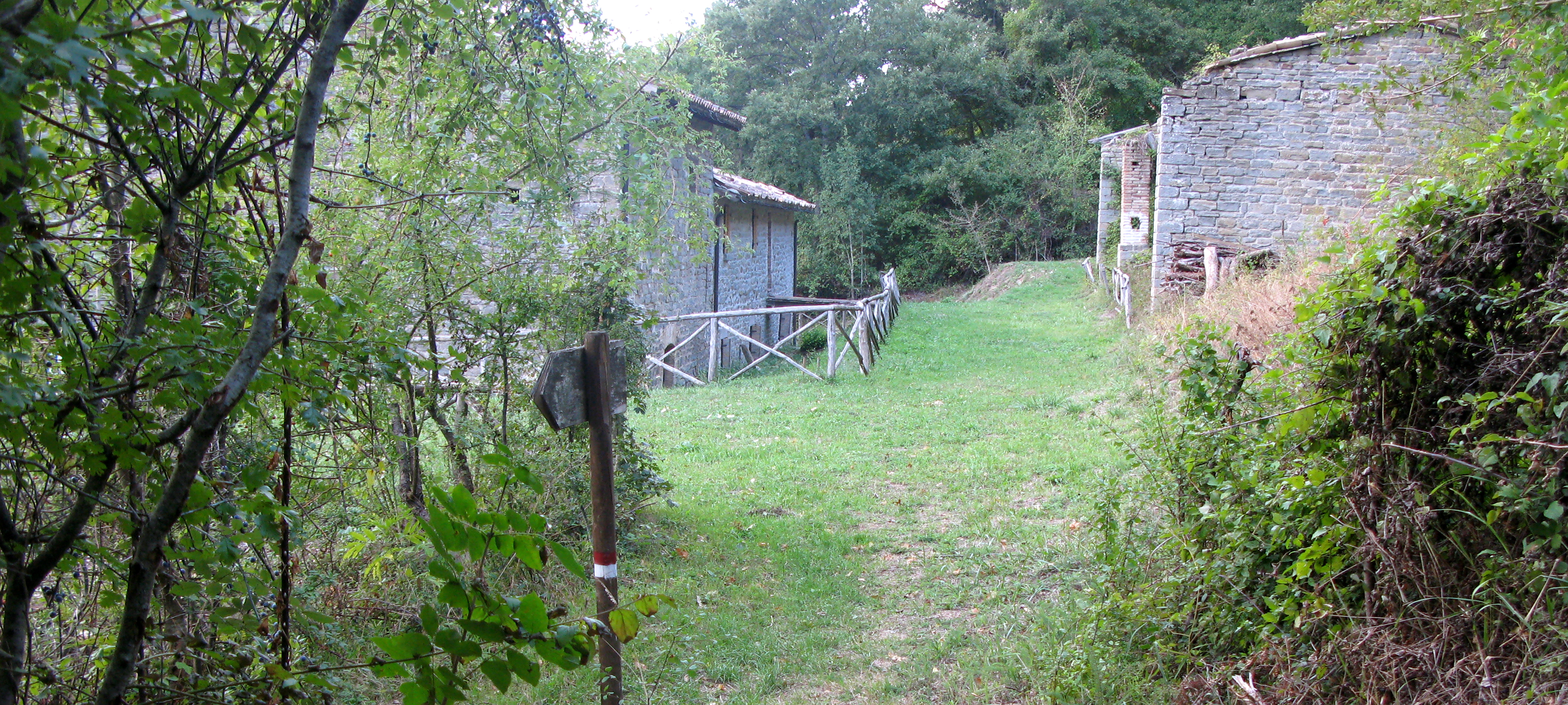 Bosco di Tecchie Sentiero 276A - immagine 9