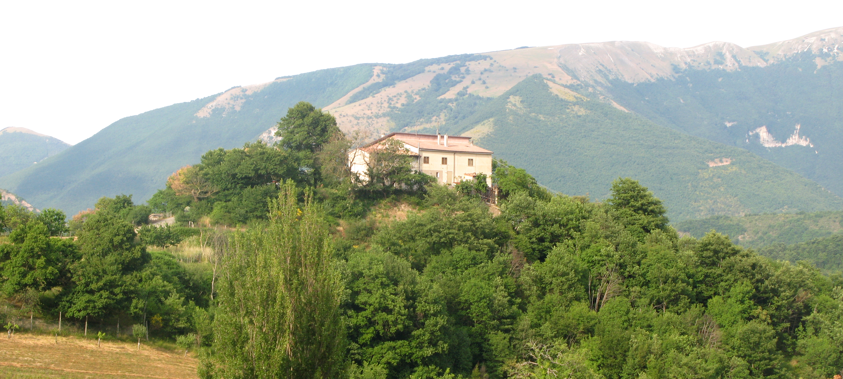 Bosco di Tecchie Sentiero 276 - immagine 1