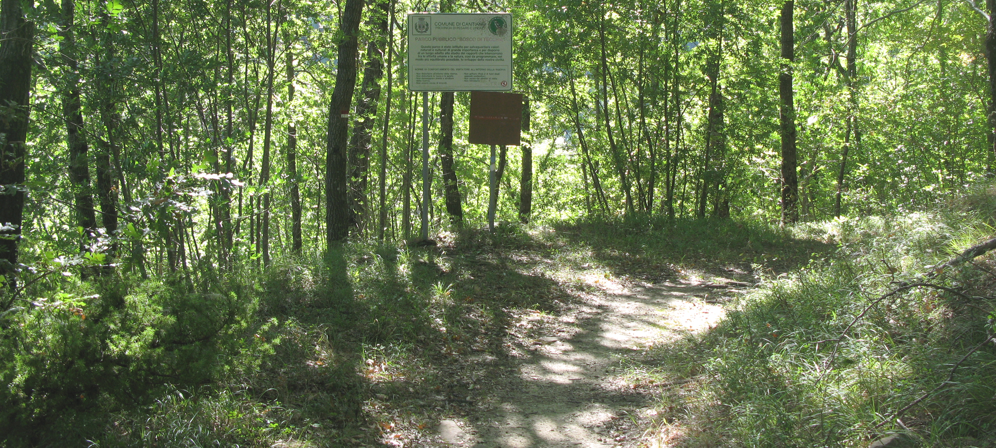 Bosco di Tecchie Sentiero 276 - immagine 5