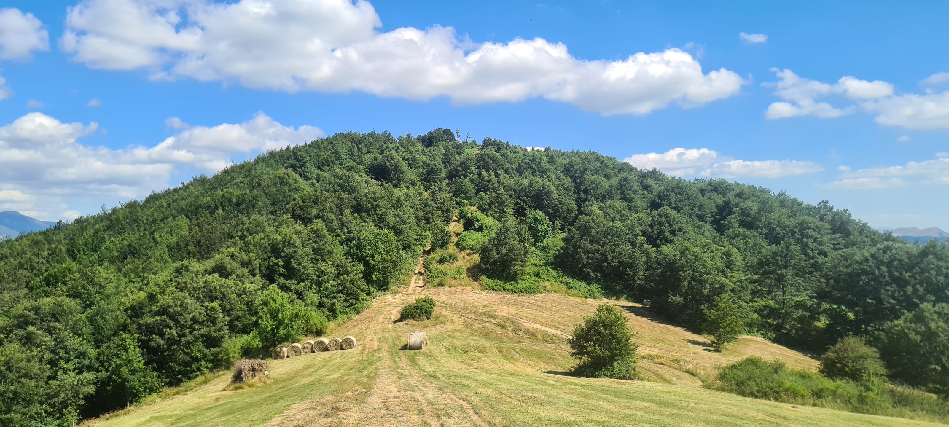 Bosco di Tecchie Sentiero 276 - immagine 12 (Serra di Burano)