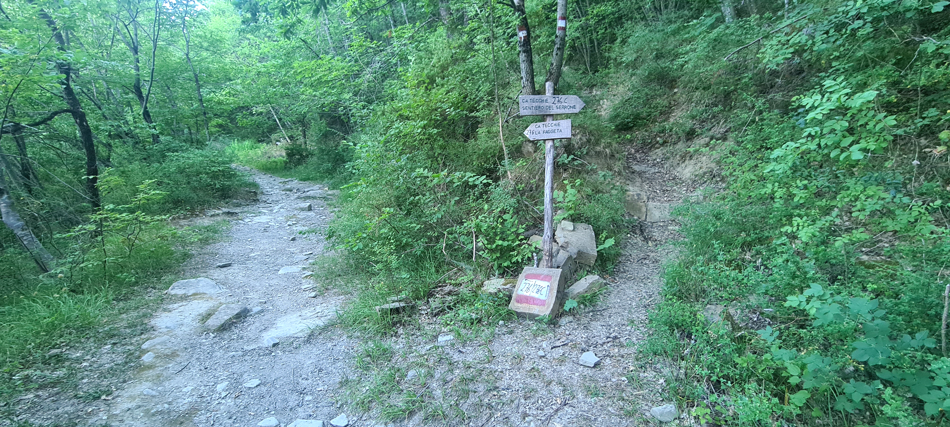 Bosco di Tecchie Sentiero 276C - immagine 1
