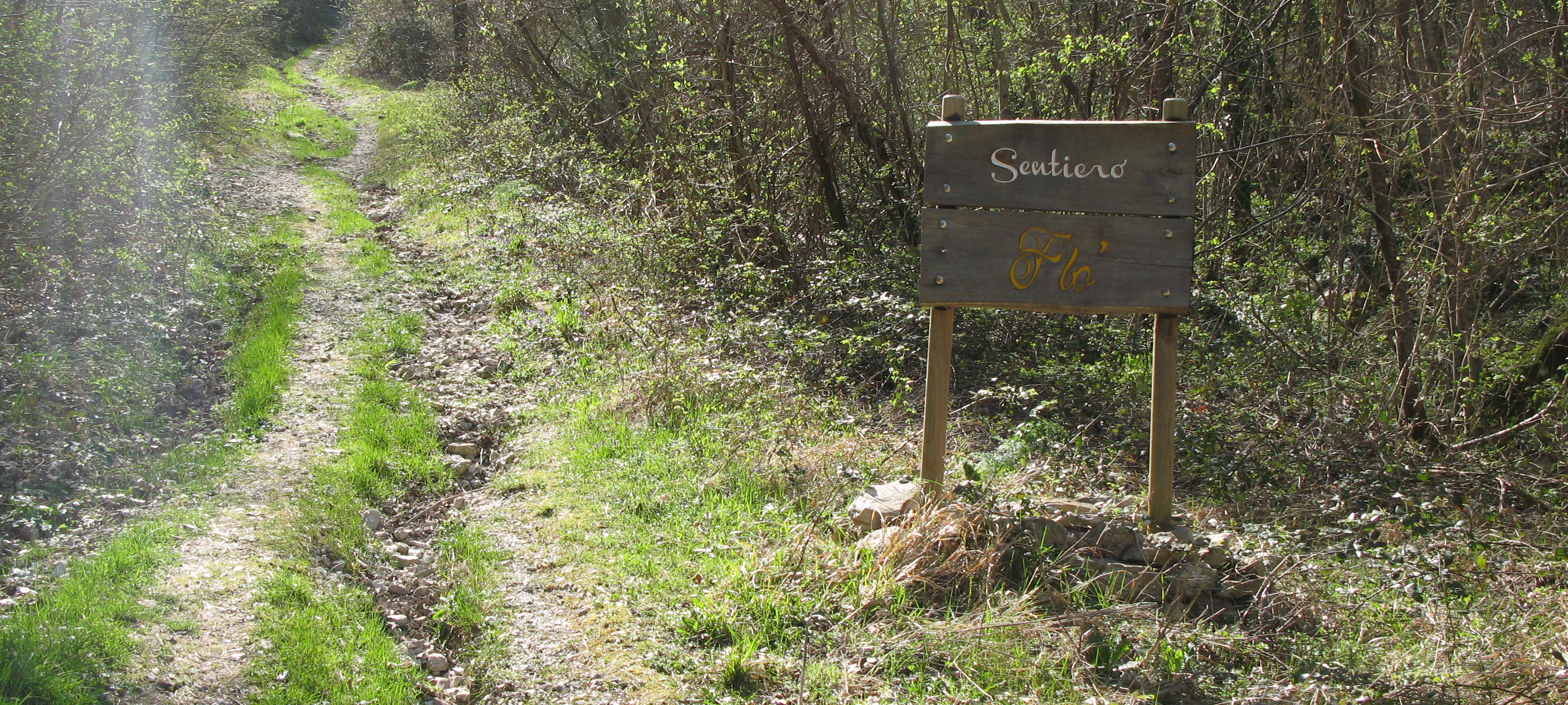 Monte Catria Sentiero Flò - immagine 1