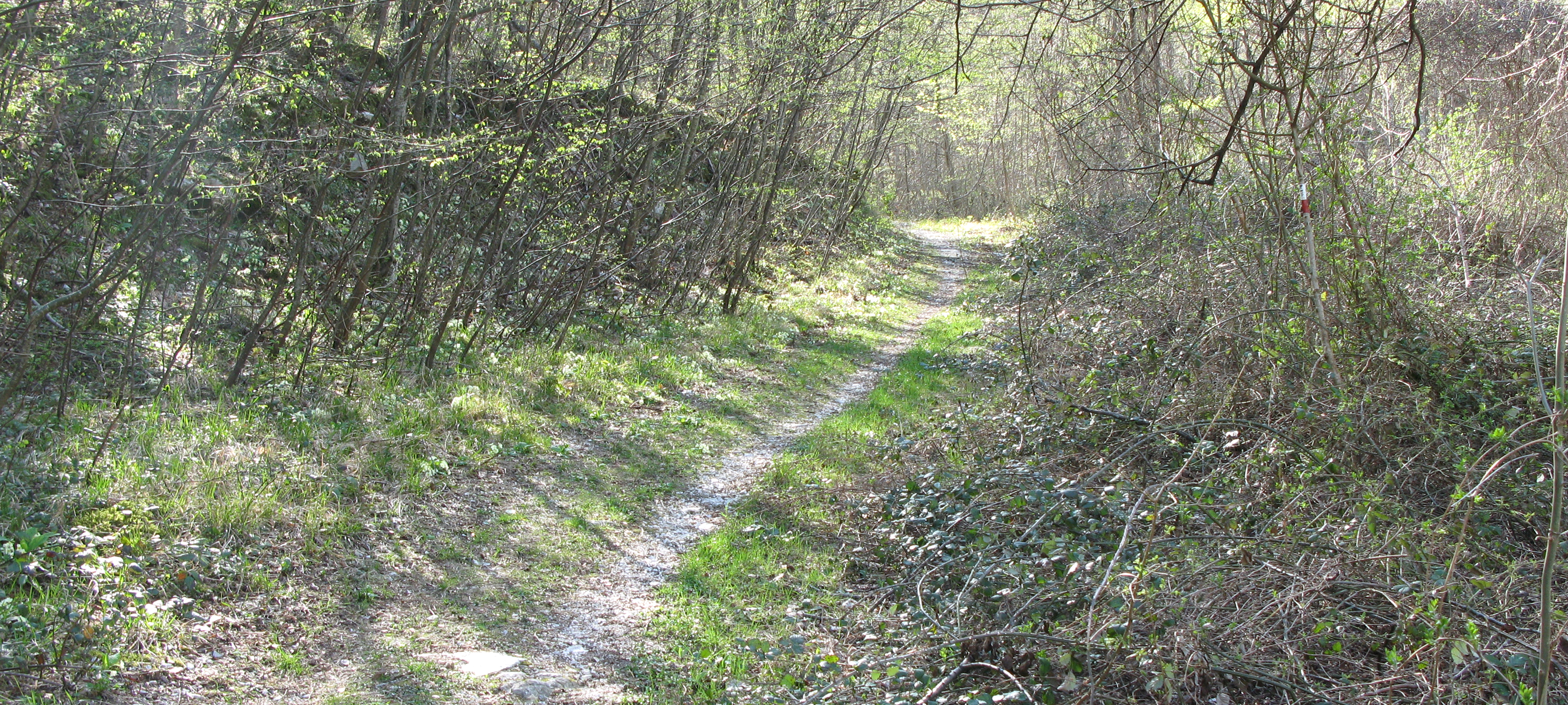 Monte Catria Sentiero Flò - immagine 2