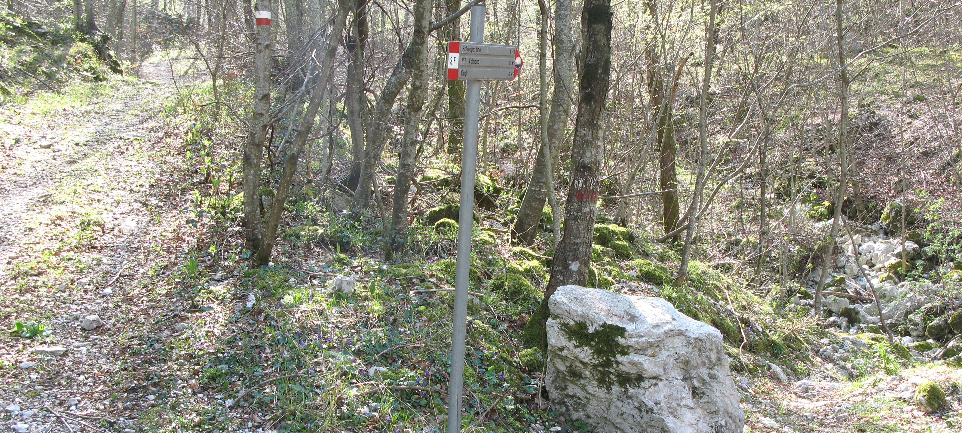 Monte Catria Sentiero Flò - immagine 3