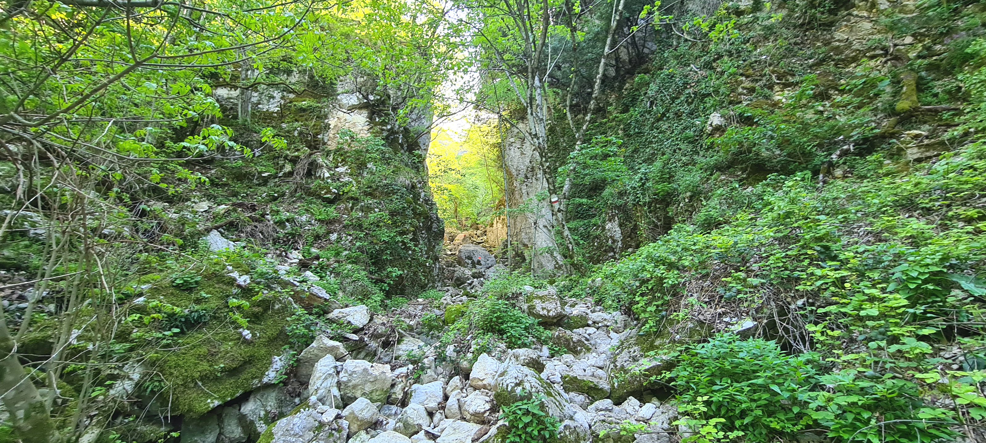 Monte Catria Sentiero Flò - immagine 4